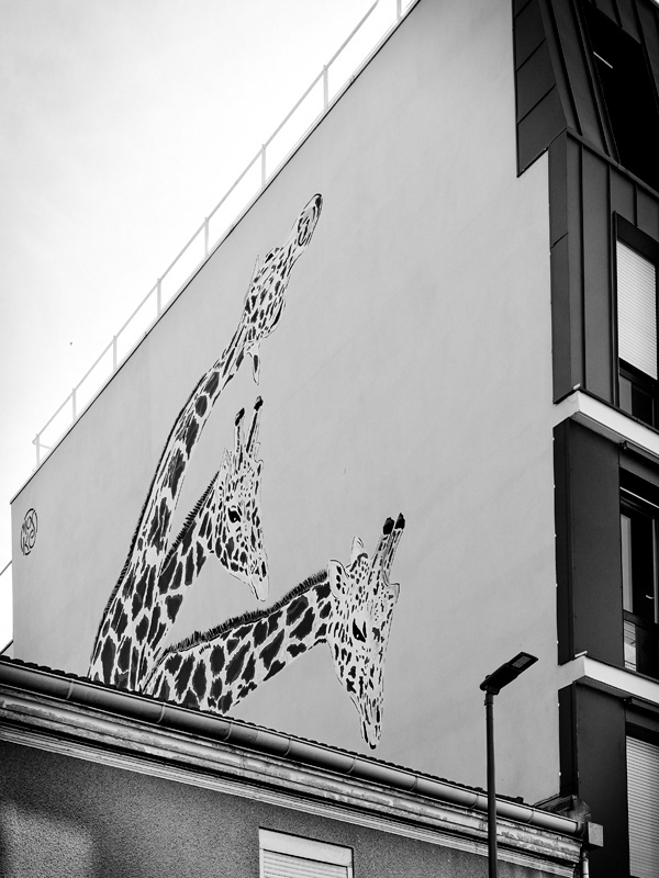 2021-rue du Progrès