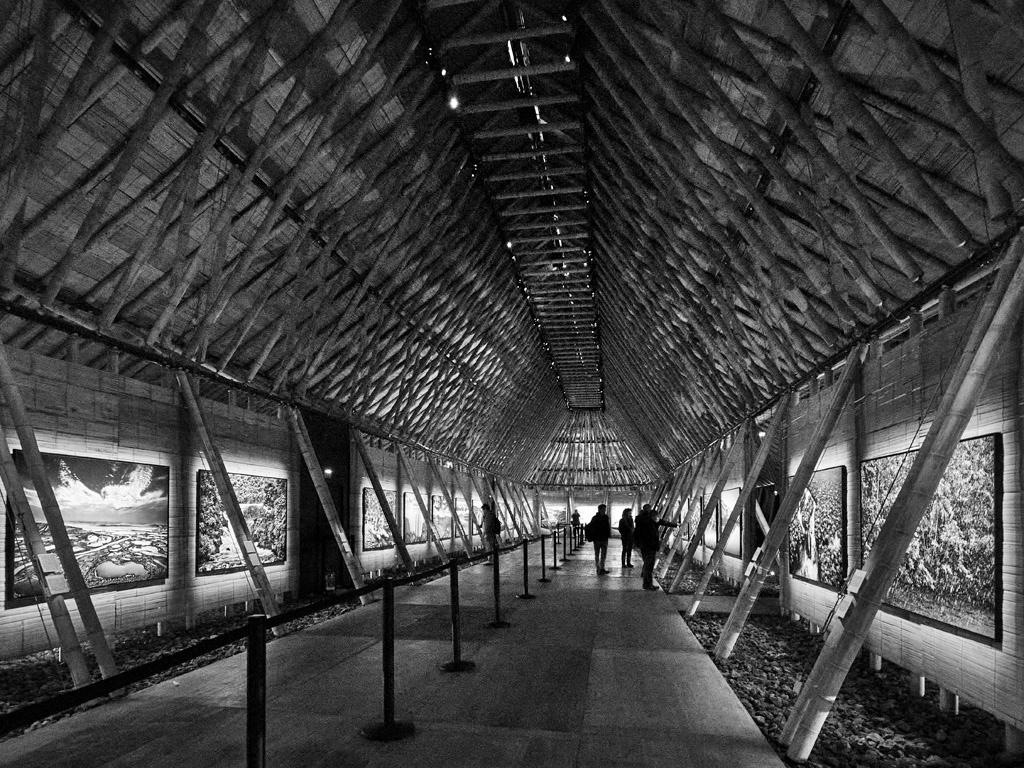 2022 - Sebastiao Salgado - Expo Aqua Mater - Paris La Defense 