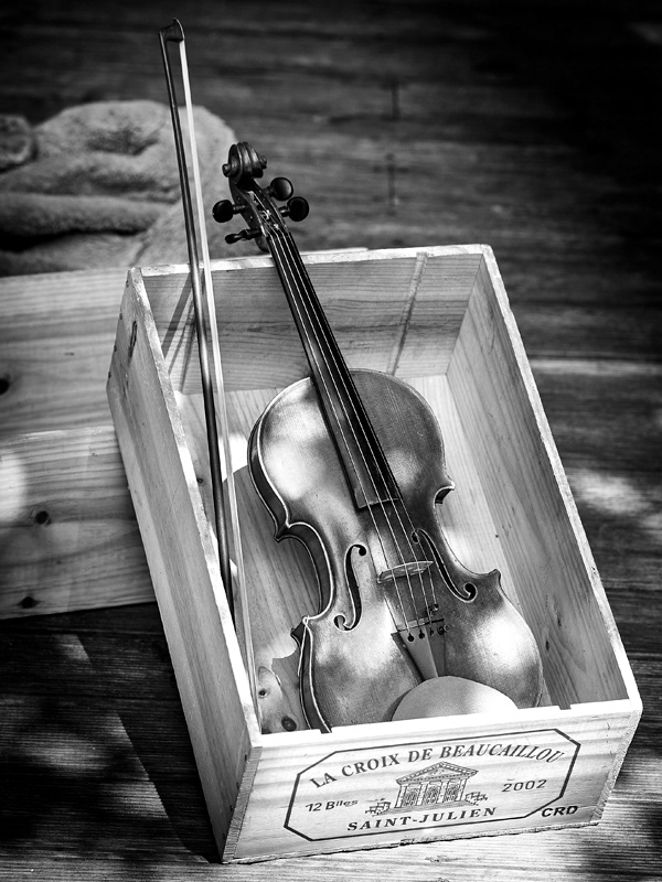 2014-Murs à Pêches