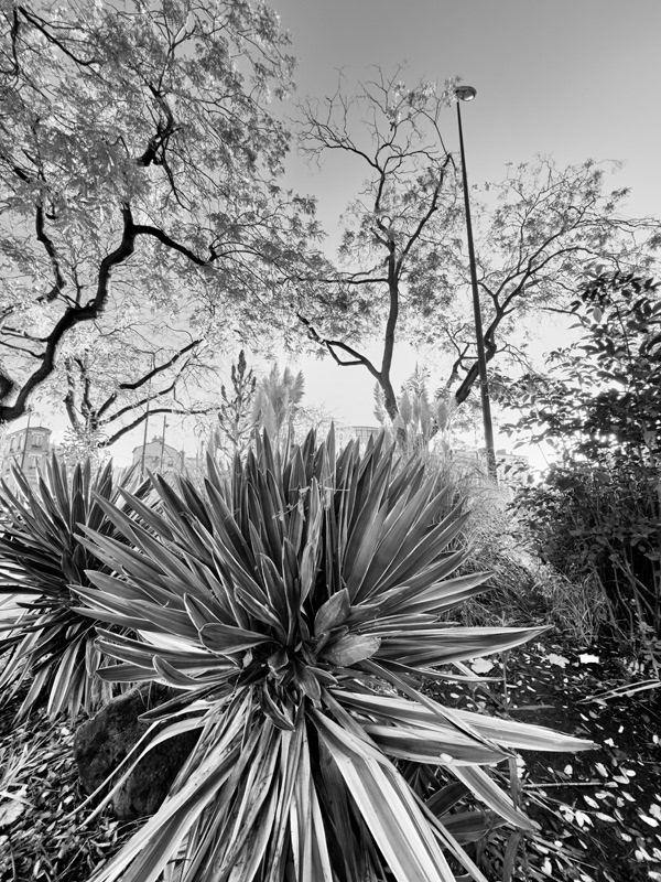 2024-Croix de Chavaux Place Jacques Duclos