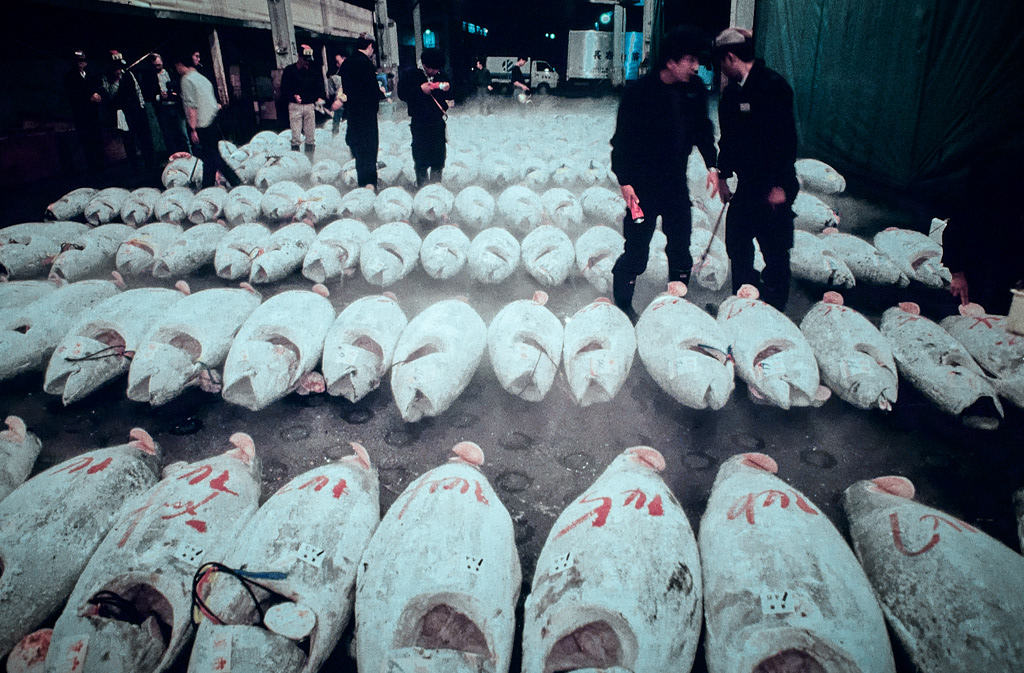 Japon-Tokyo-Marché aux poissons-Tsukiji-31-10-90