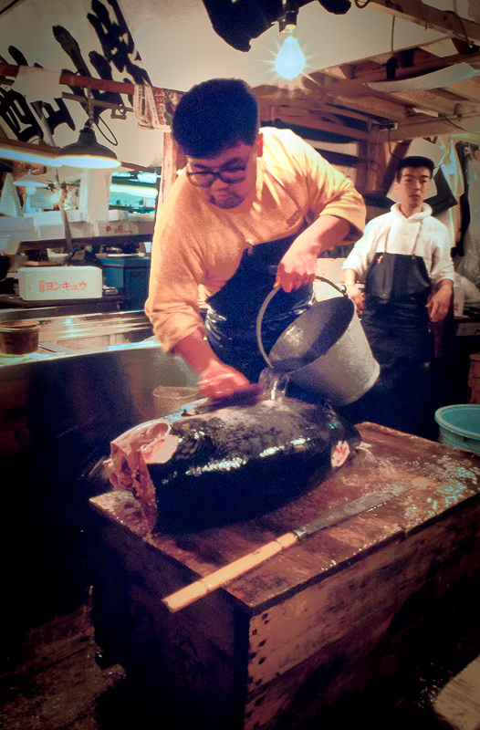 Japon-Tokyo-Marché aux poissons-Tsukiji-31-10-90