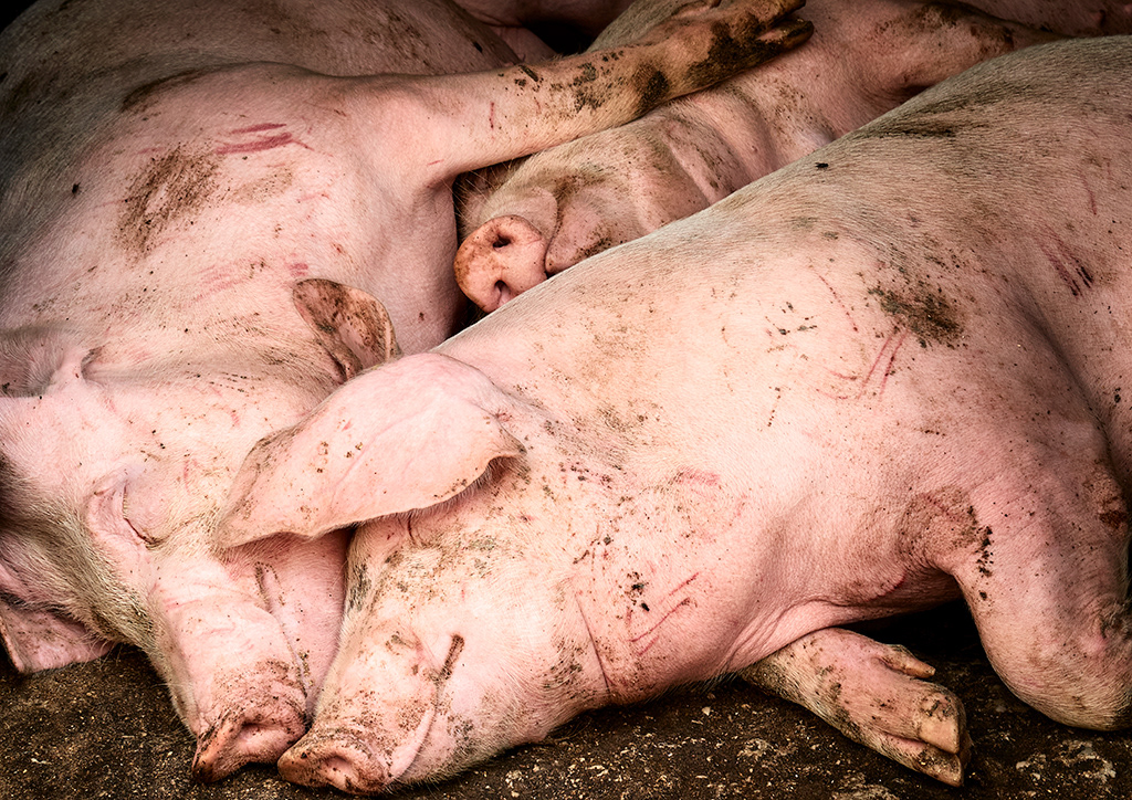 2020-Col de la Colombière-Aufférand