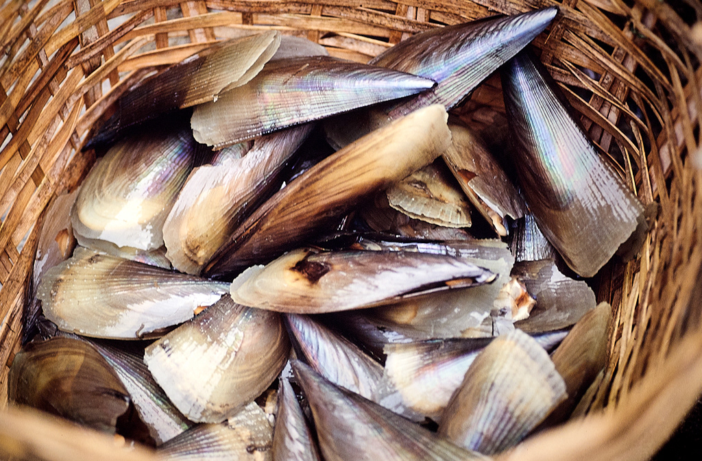 Hong Kong-Aberdeen-04-11-1990