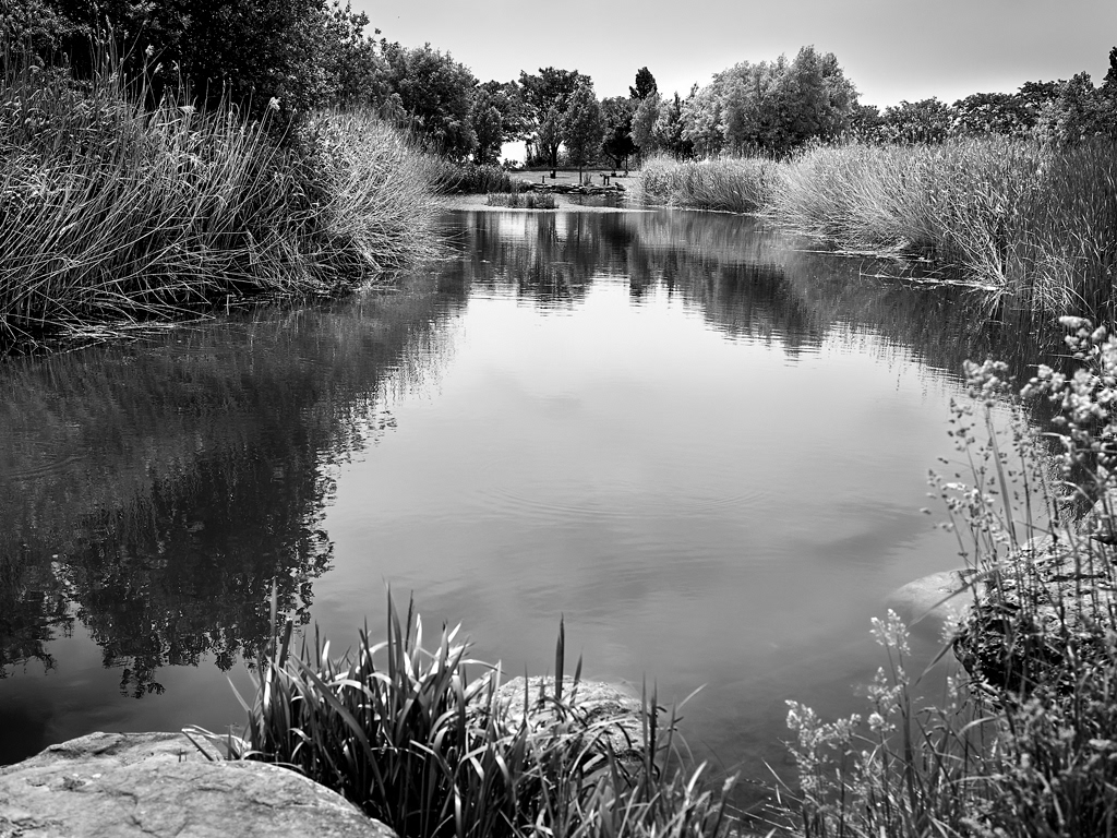 2013-Parc Jean Moulin-Les Guilands