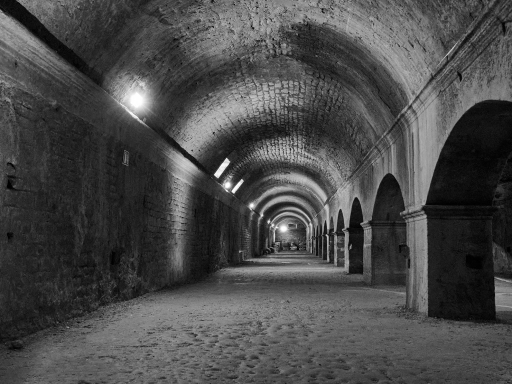 Arles 2023 - Cryptoportiques