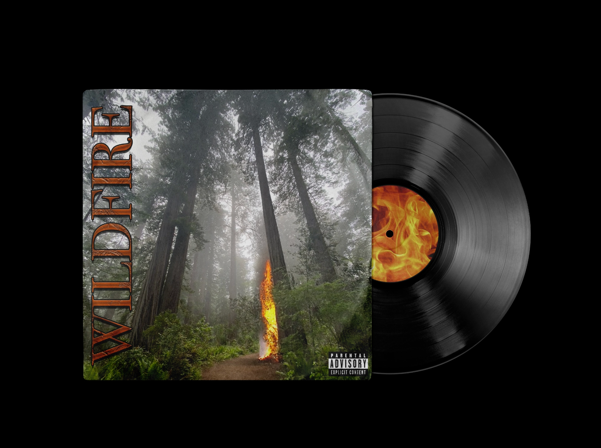 "wildfire" vinyl concept