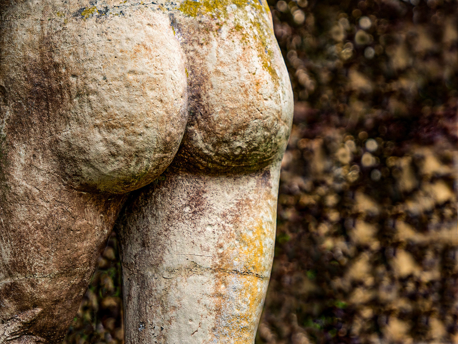 Bottom
