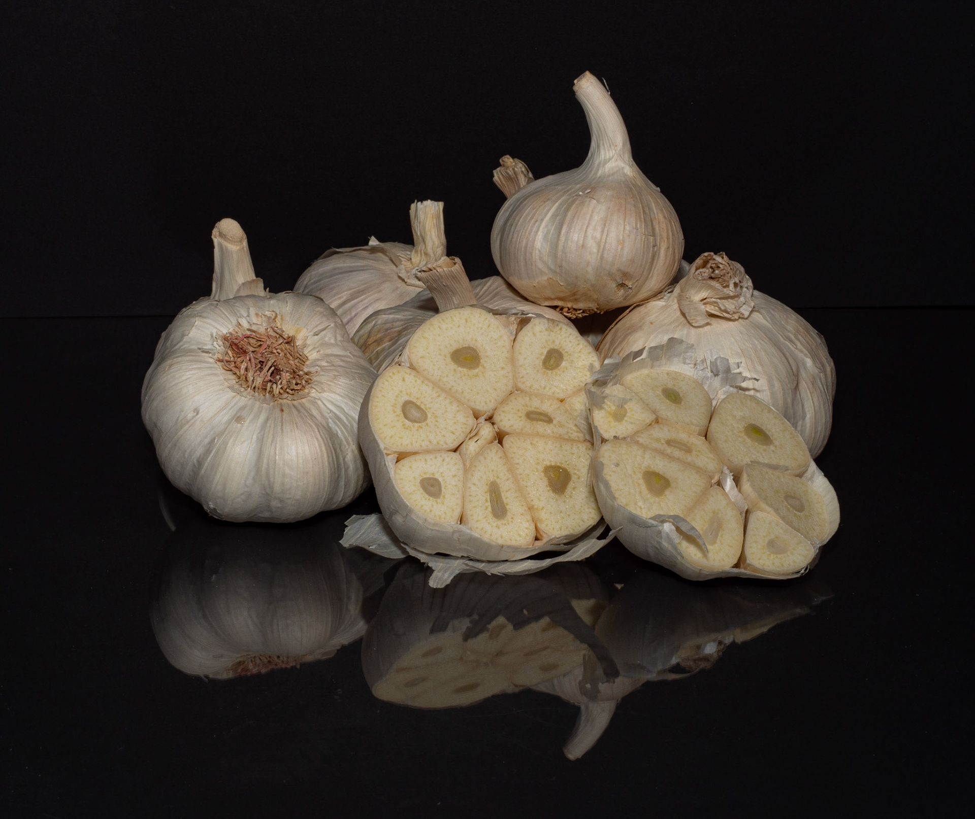 Garlic