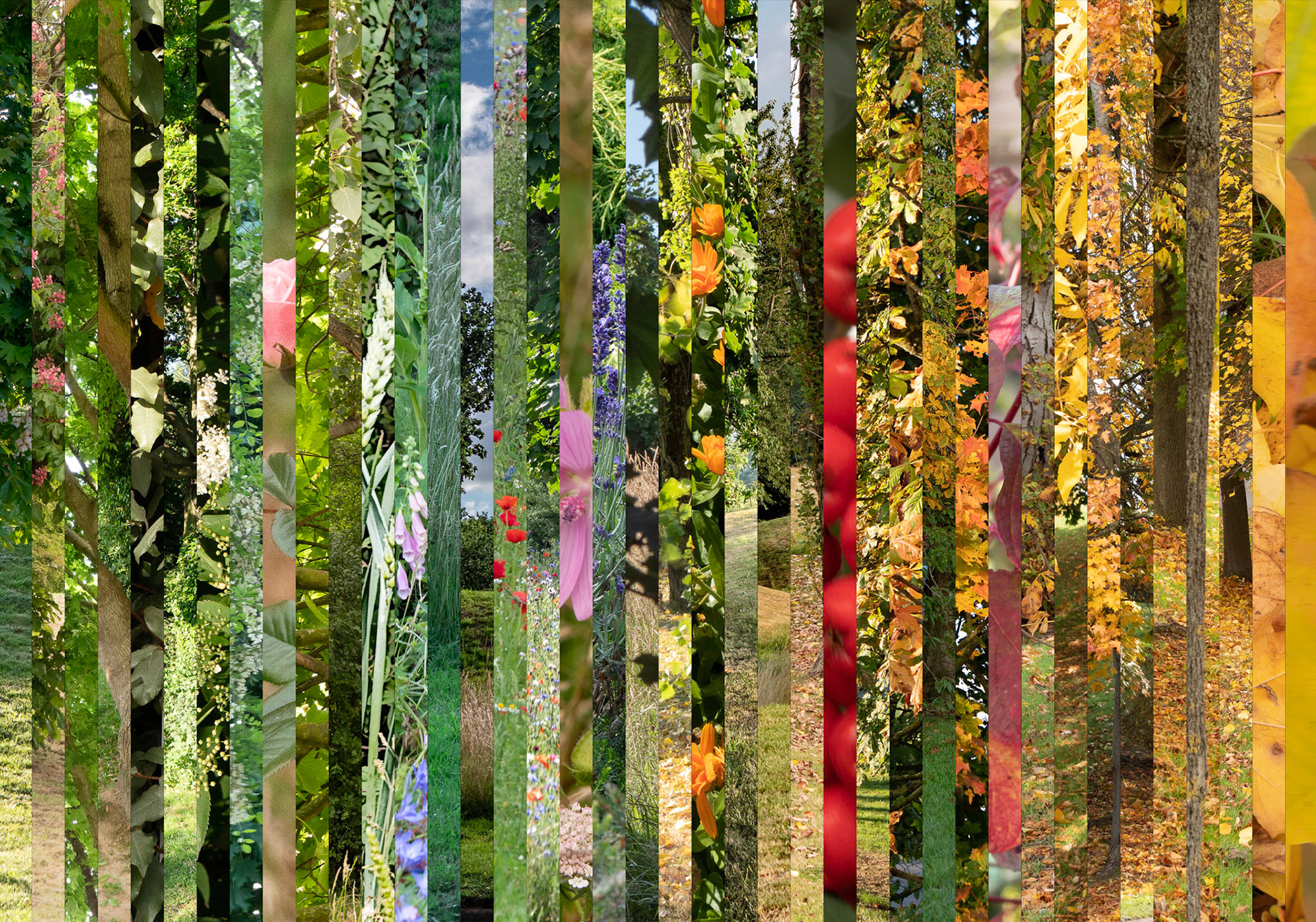 Seasonal Ribbons