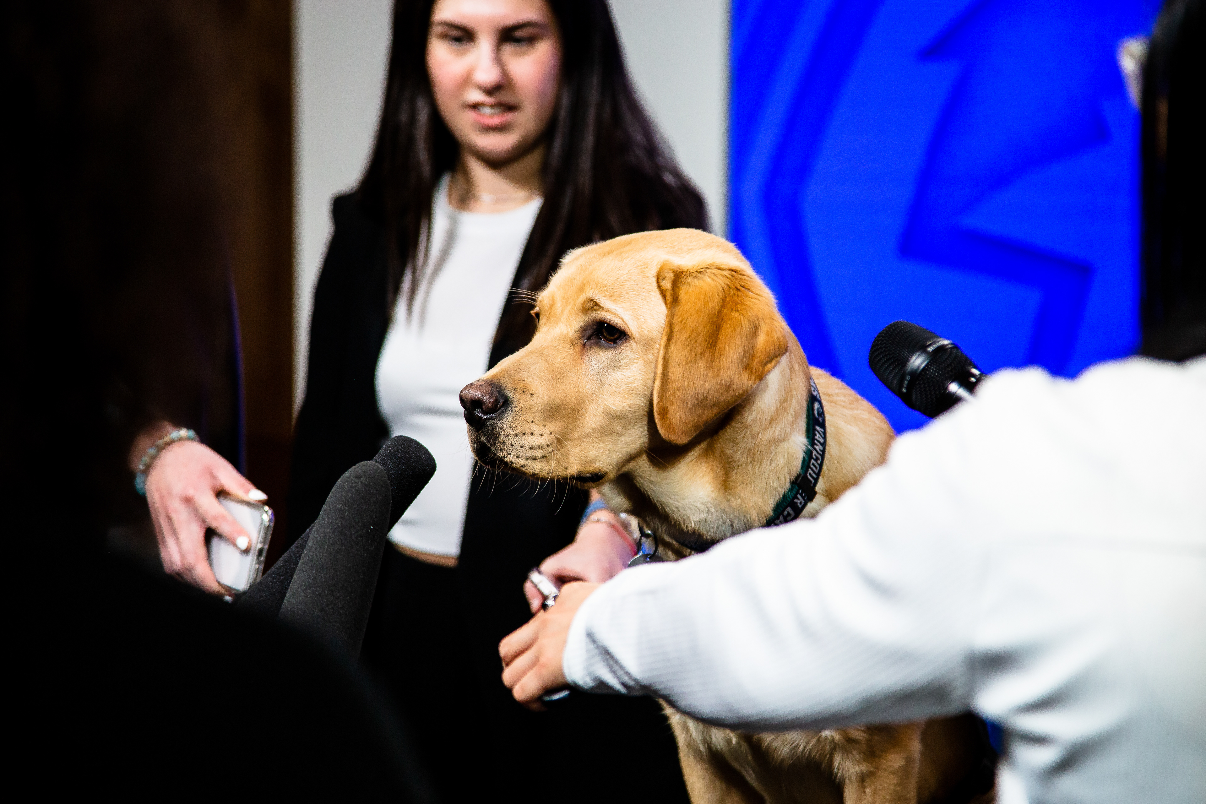 Canucks Pup Ryp being "interviewed" for an advertisement for Bosleys.