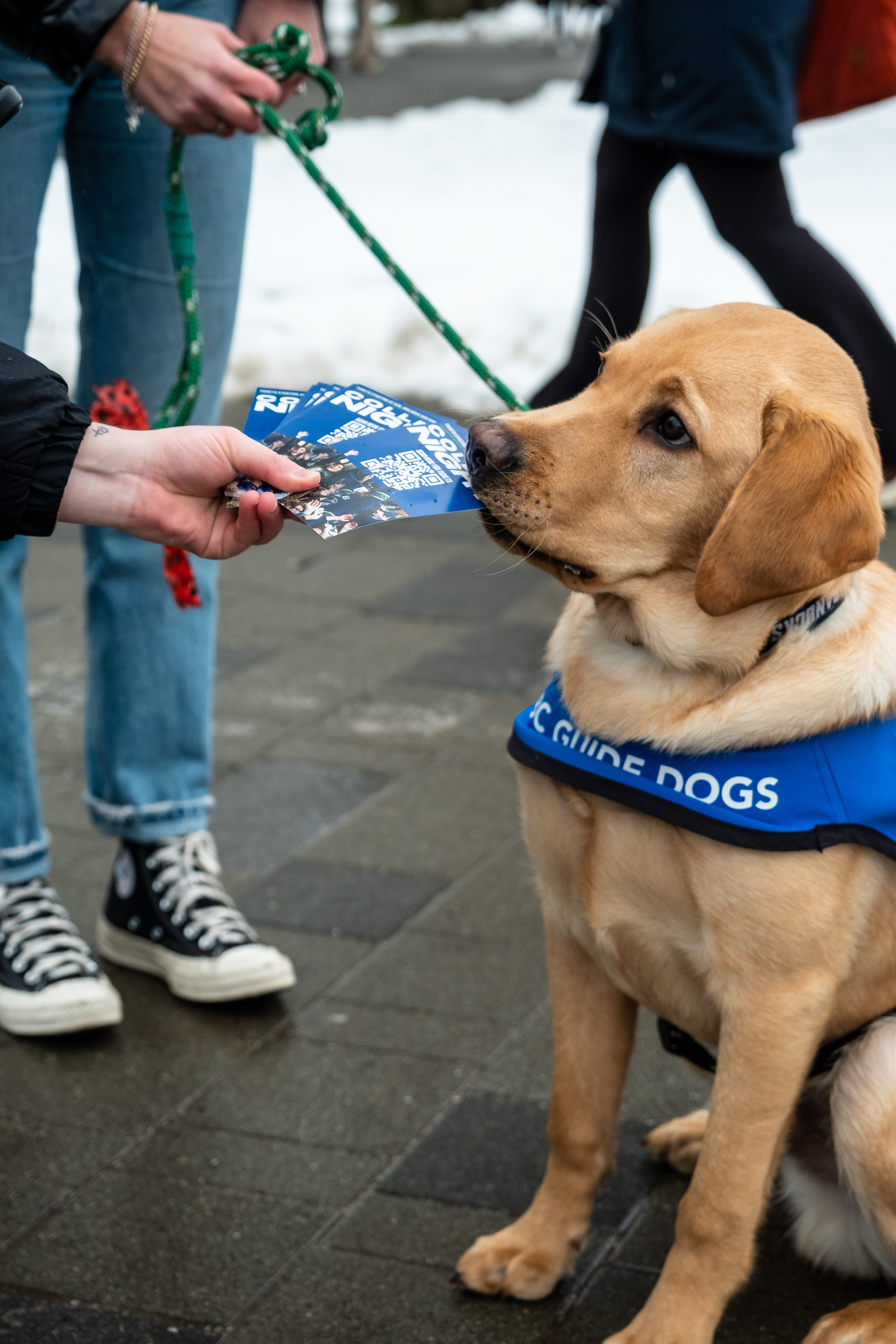 Canucks Pup Ryp "handing out" info cards for college night at UBC.
