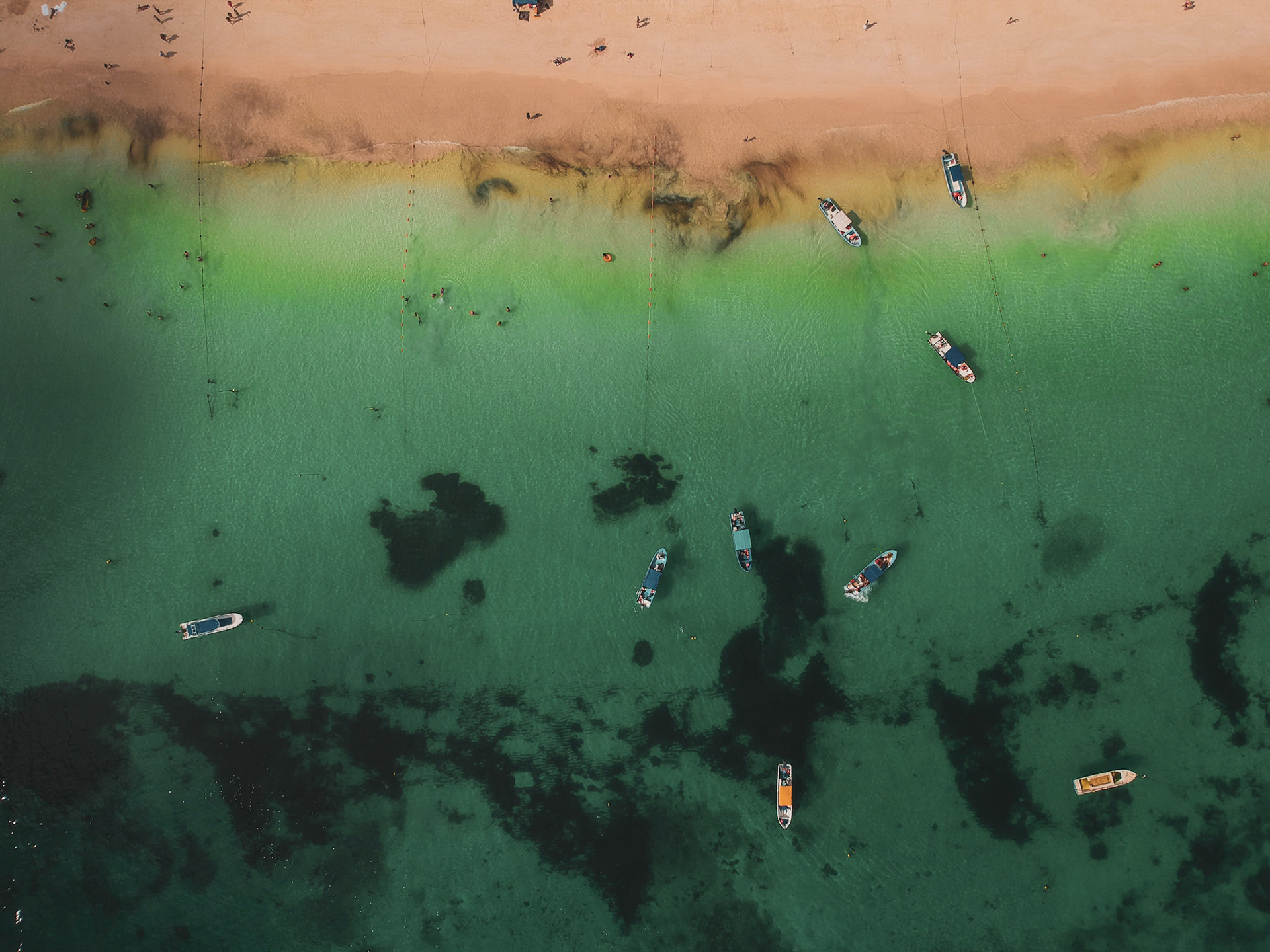 DCIM/100MEDIA/DJI_1169.JPG