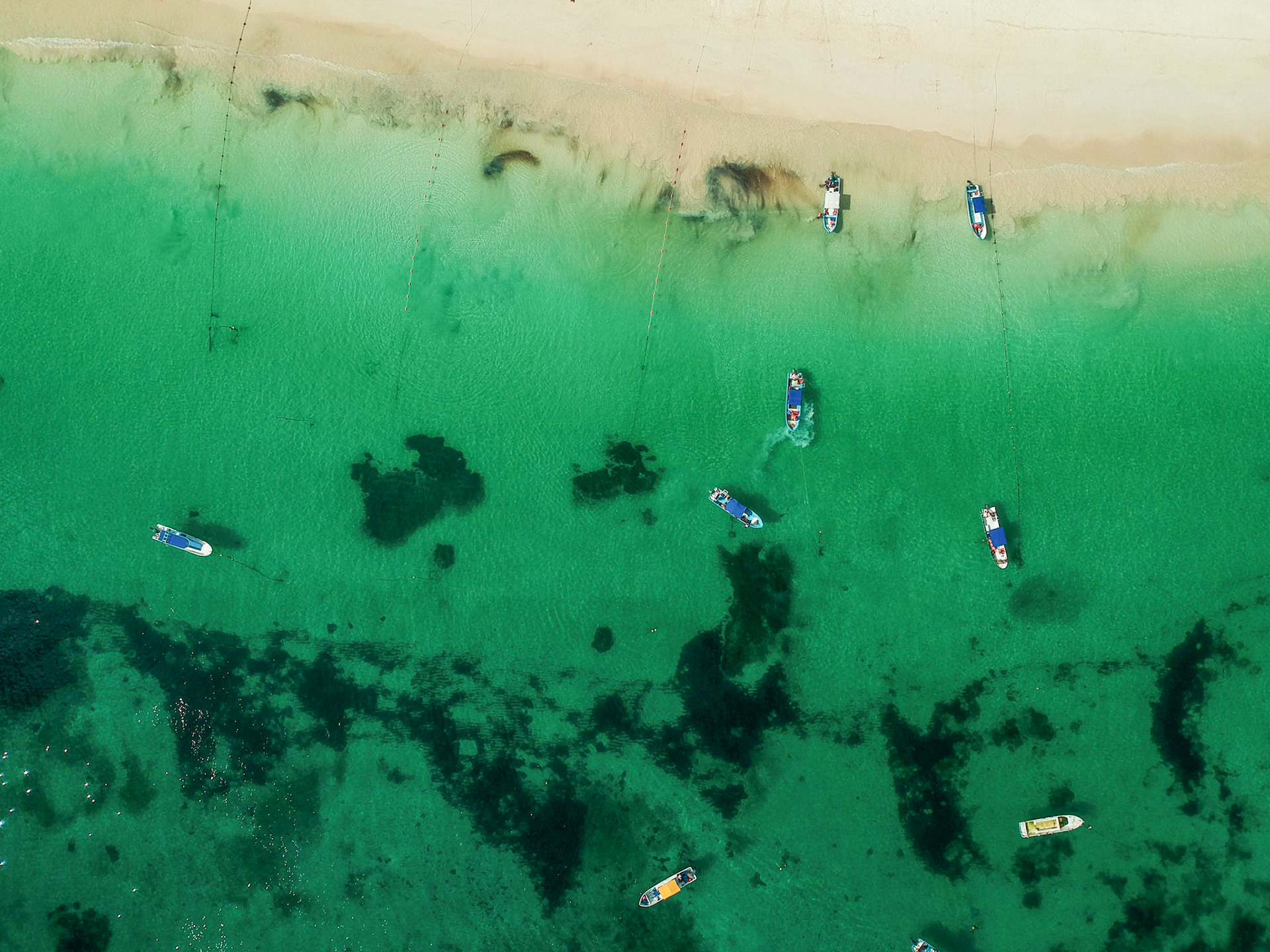 DCIM/100MEDIA/DJI_1172.JPG