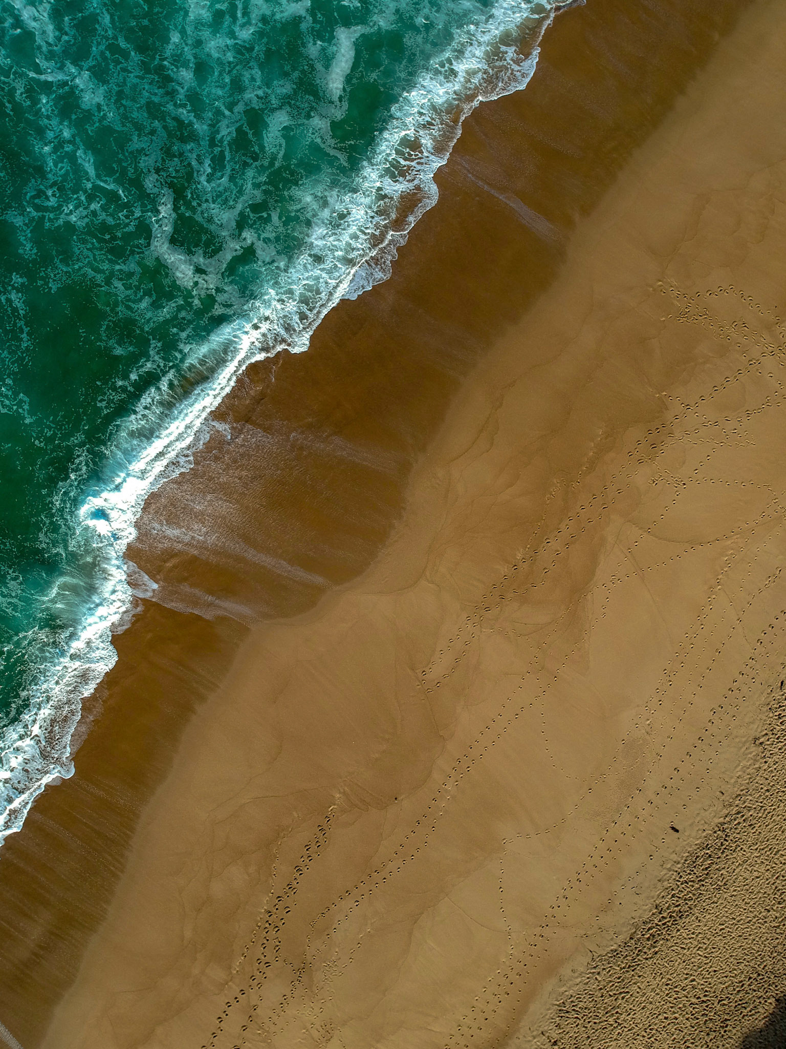 DCIM/100MEDIA/DJI_0044.JPG