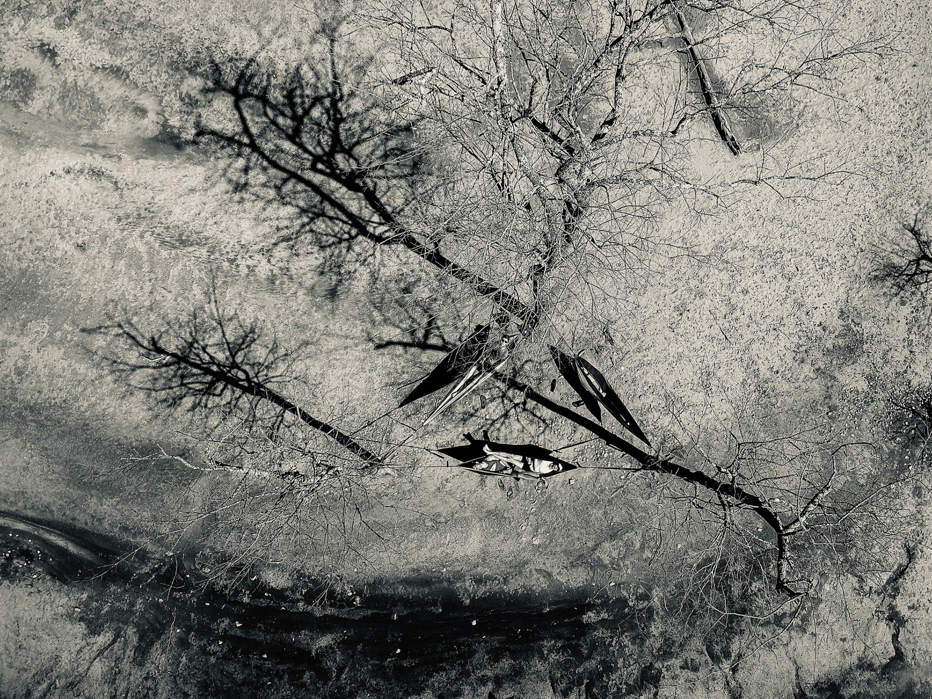 DCIM/100MEDIA/DJI_0514.JPG