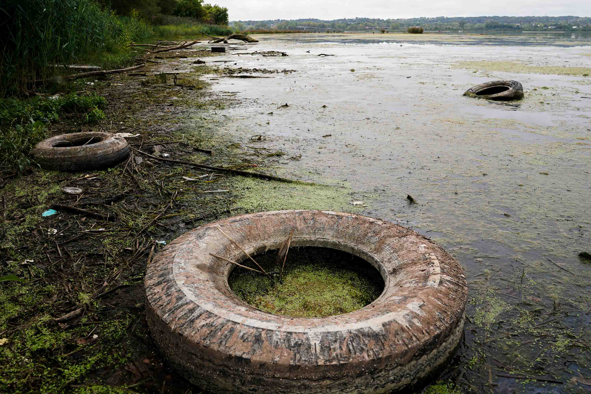 Tires lay scattered across the lake front at Murphy's Island, the most polluted part of Onondaga Lake on Friday, October 3. This part of the lake is also home to nesting bald eagles and is the only section of the vital Syracuse lake that was not dredged.