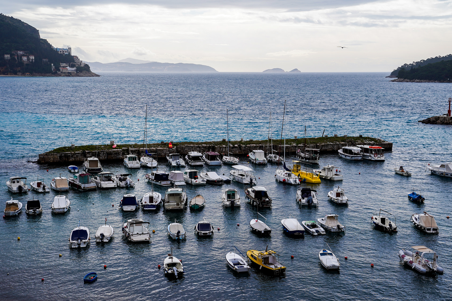 At a crowded dock along the Adriatic, ferries load with tourists bound for Croatia’s islands—a sight unimaginable during the war years, now a symbol of recovery.