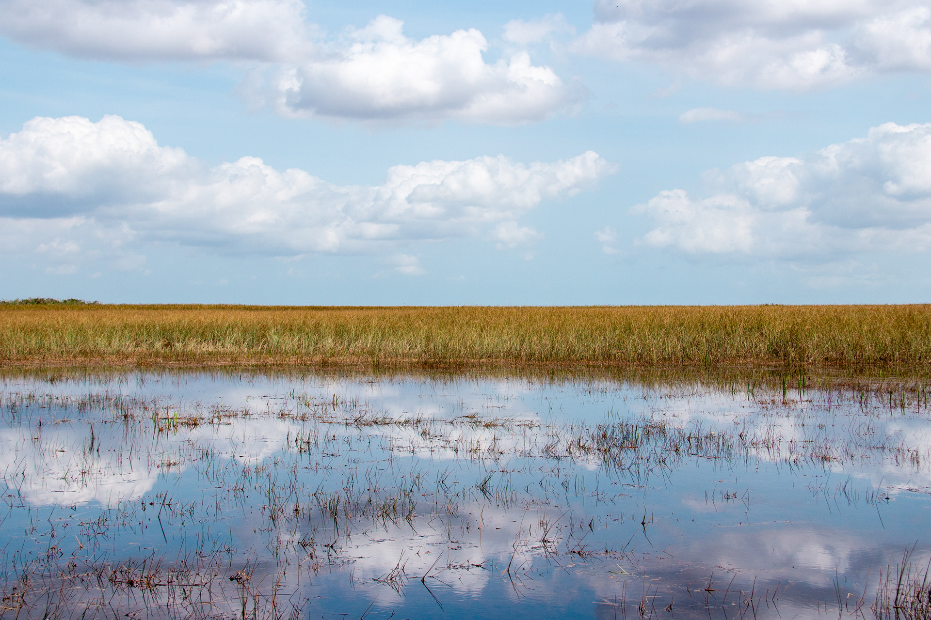 Everglades National Park, Florida