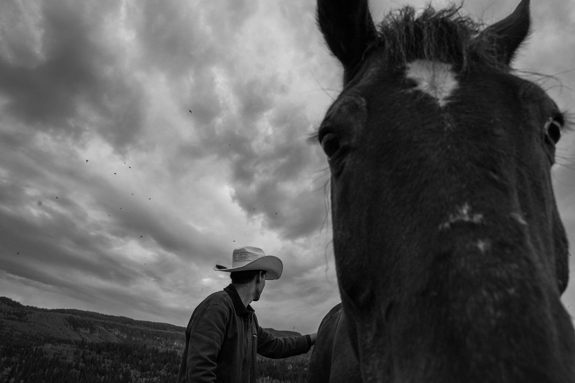 Wrangler Jose Garcia tends to a horse, part of daily routines that integrate livestock care with pasture management, ensuring both animal health and sustainable land use at the ranch.