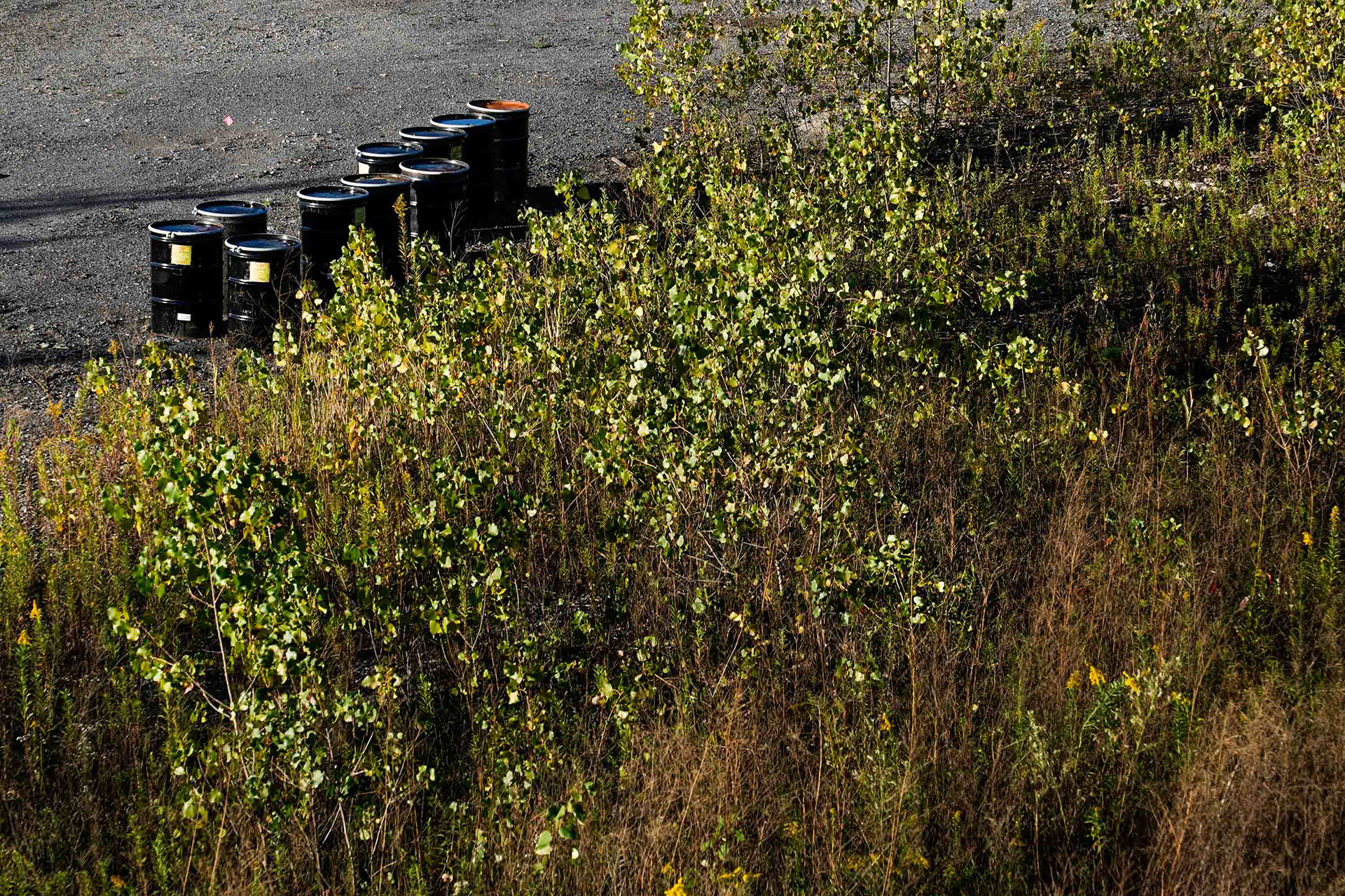 Waste barrels sit scattered by the lakeside brush next to the remains of old industrial factories on the south side of Onondaga Lake on Wednesday, September 30.