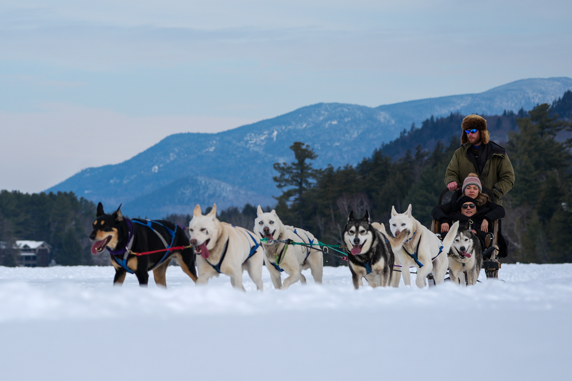 Sled dogs took fans for a ride on the frozen lake behind the Golden Arrow hotel on Friday morning in Lake Placid, New York.