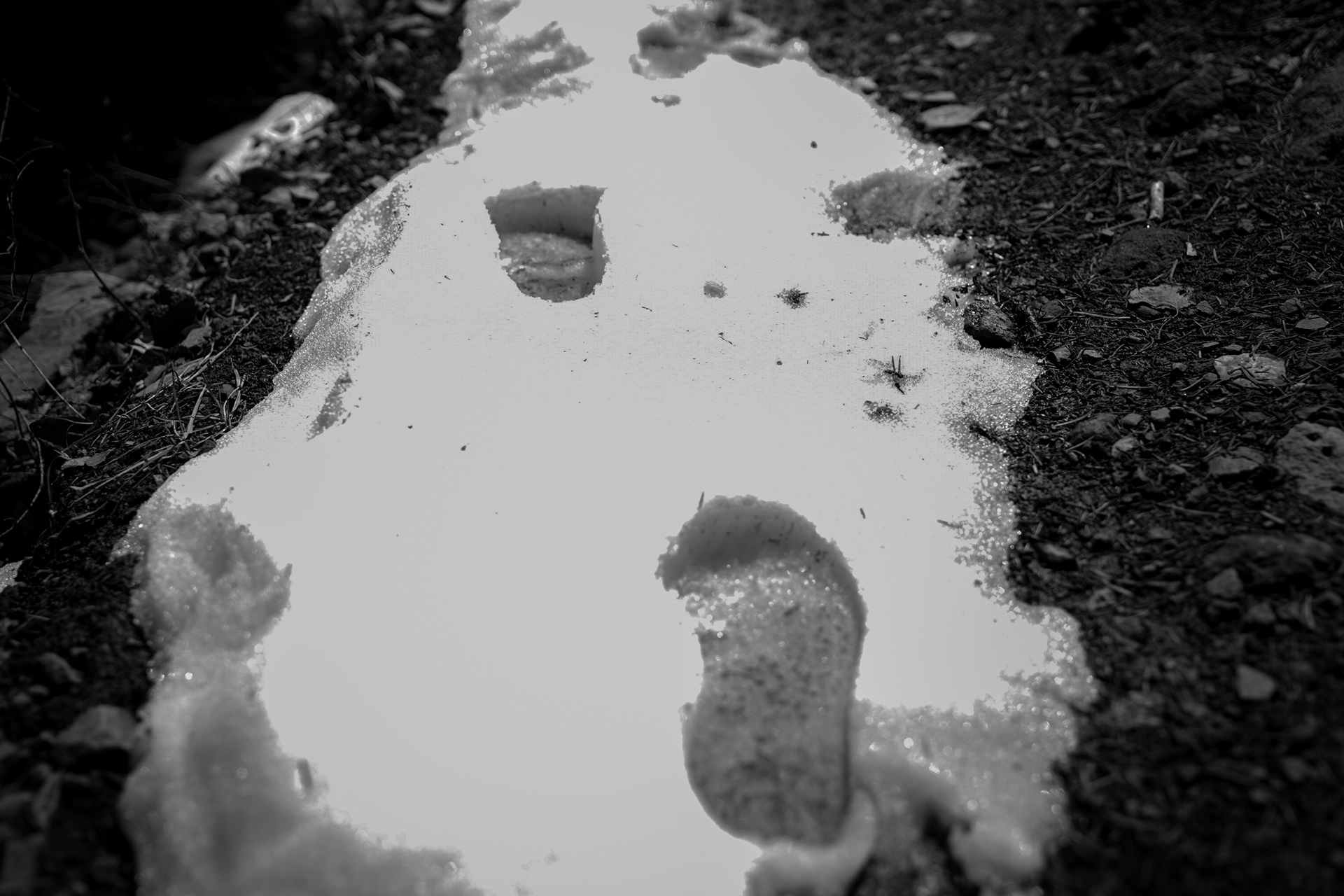 Seasonal snowmelt and weather patterns dictate daily routines, illustrating the adaptability required to maintain a productive and resilient high-altitude ranch.
