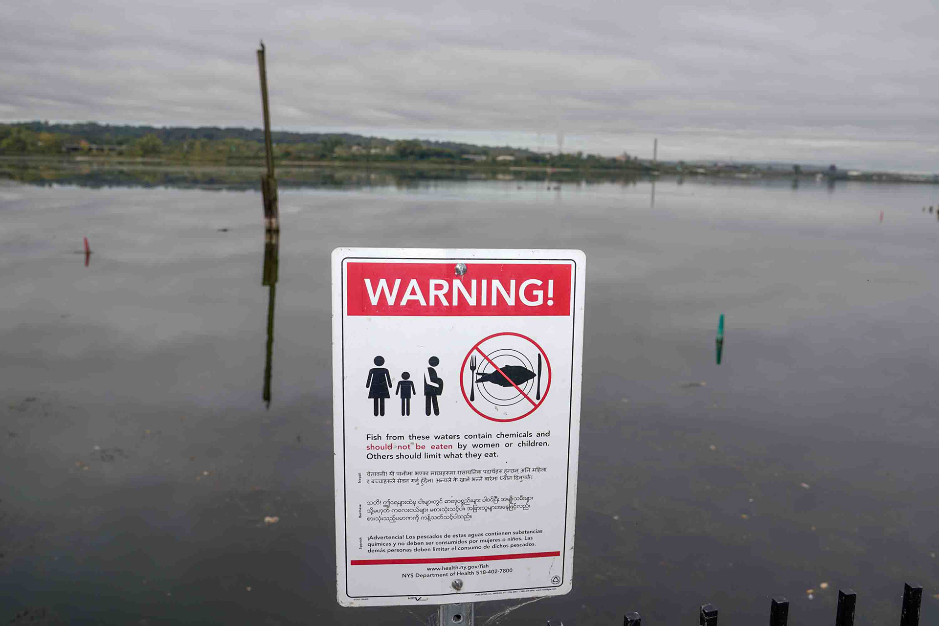 A sign warning Onondaga Lake visitors against eating contaminated fish lines the shore of Murphy's Island on Friday, October 3. Signs like this can be found around the lake, often in multiple languages, emphasizing that "fish from these waters contain chemicals and should not be eaten." As recreation is brought back to the lake, community members are left to question what to believe about the safety of the waters and the wildlife within them.
