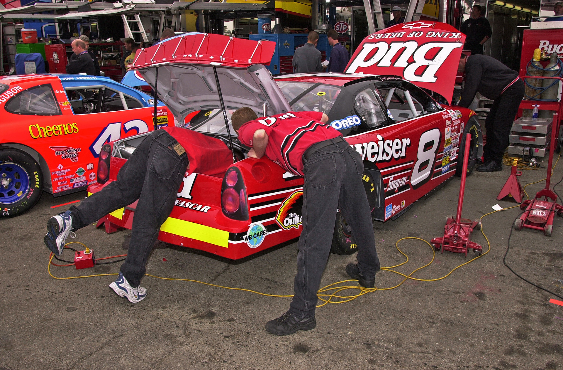 "I know I left it in here somewhere!"...  ©  IAN DONALD