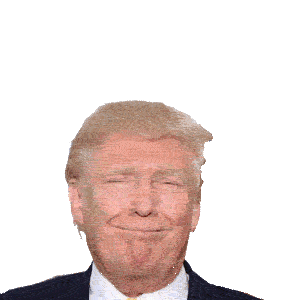 Animated Gif & mp4
