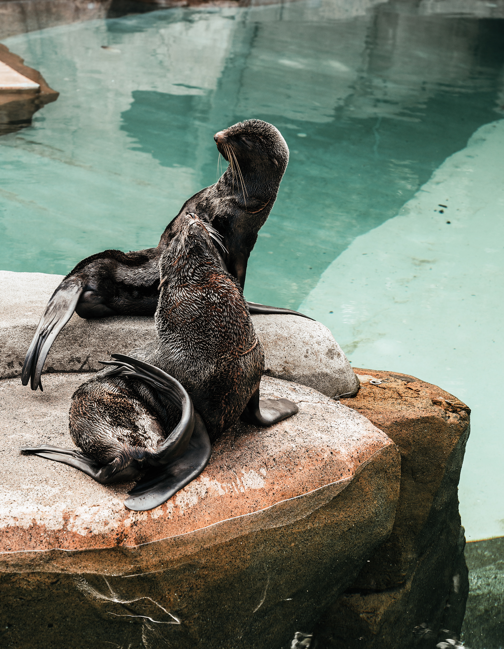 Vancouver Aquarium
