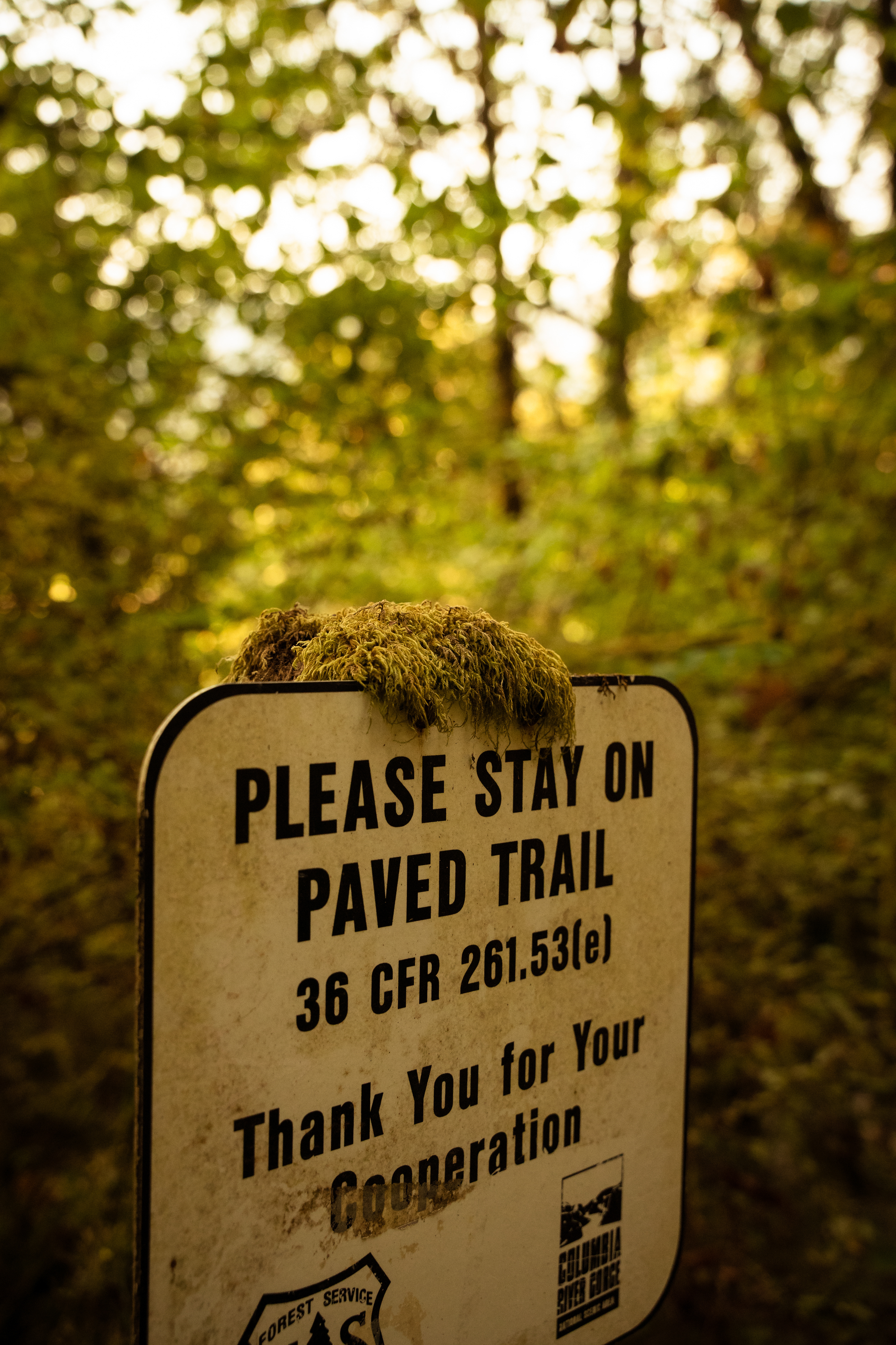Trail Sign