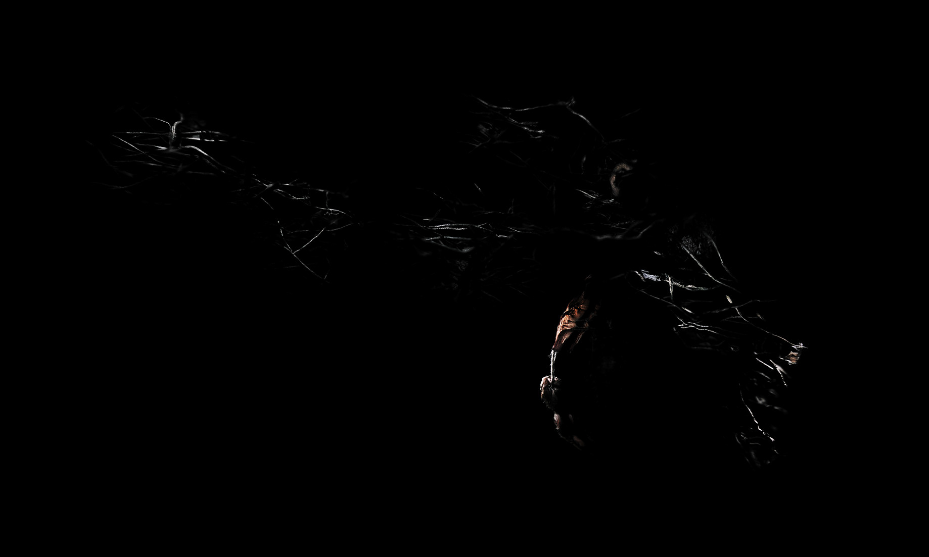 Intimacy series - Digital photography by Rita Margono