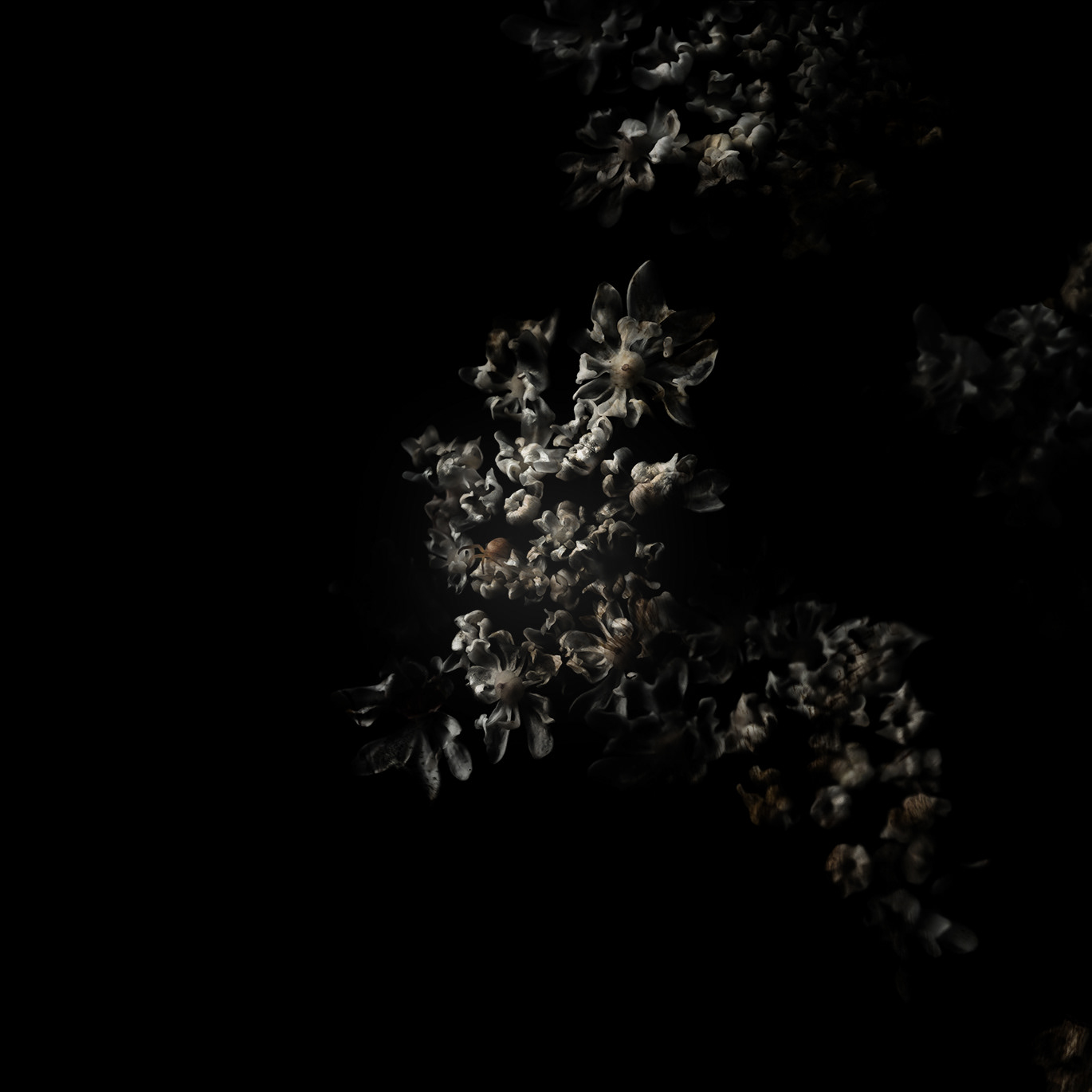 Intimacy series - Digital photography by Rita Margono