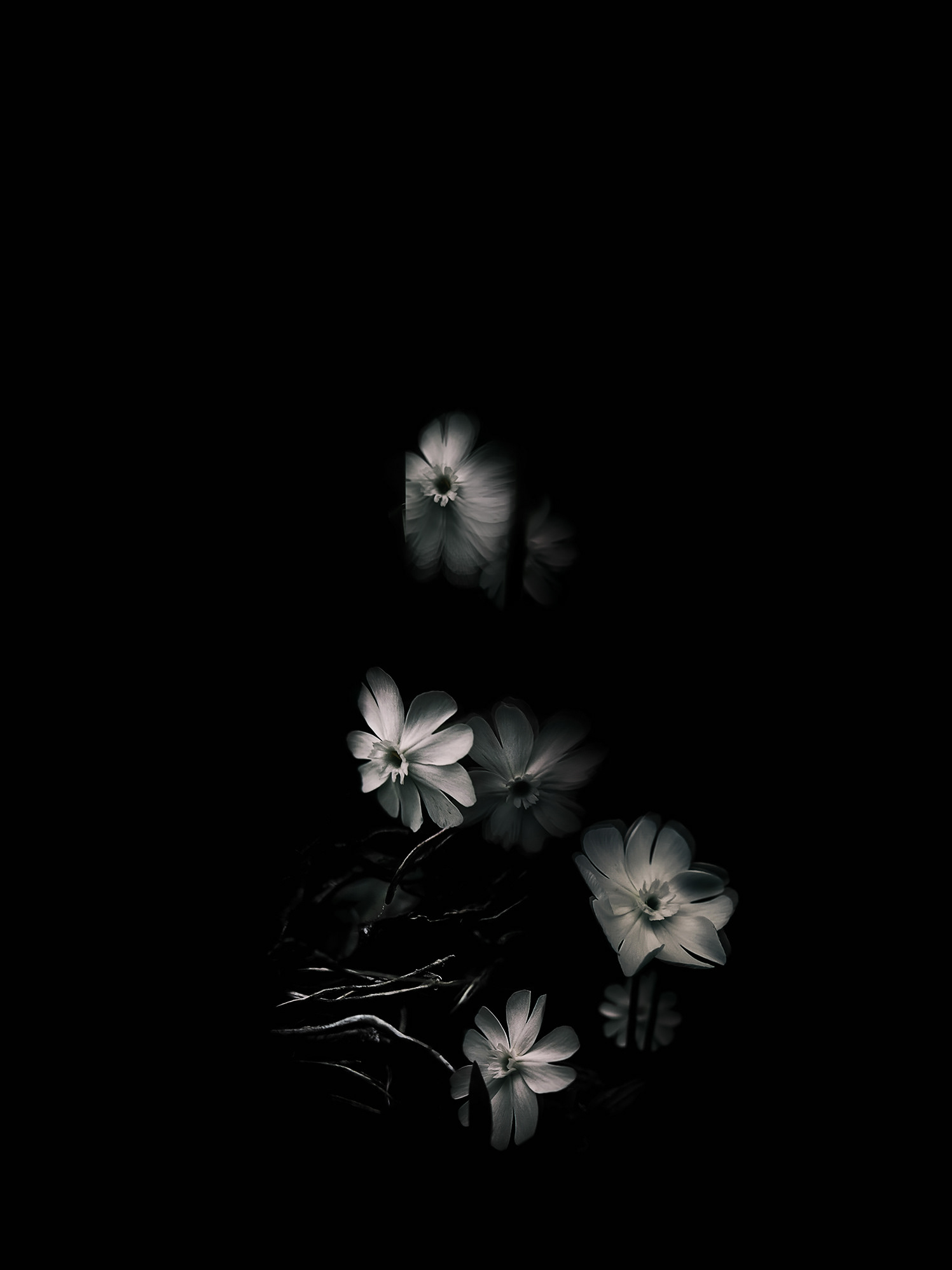 Intimacy series - Digital photography by Rita Margono