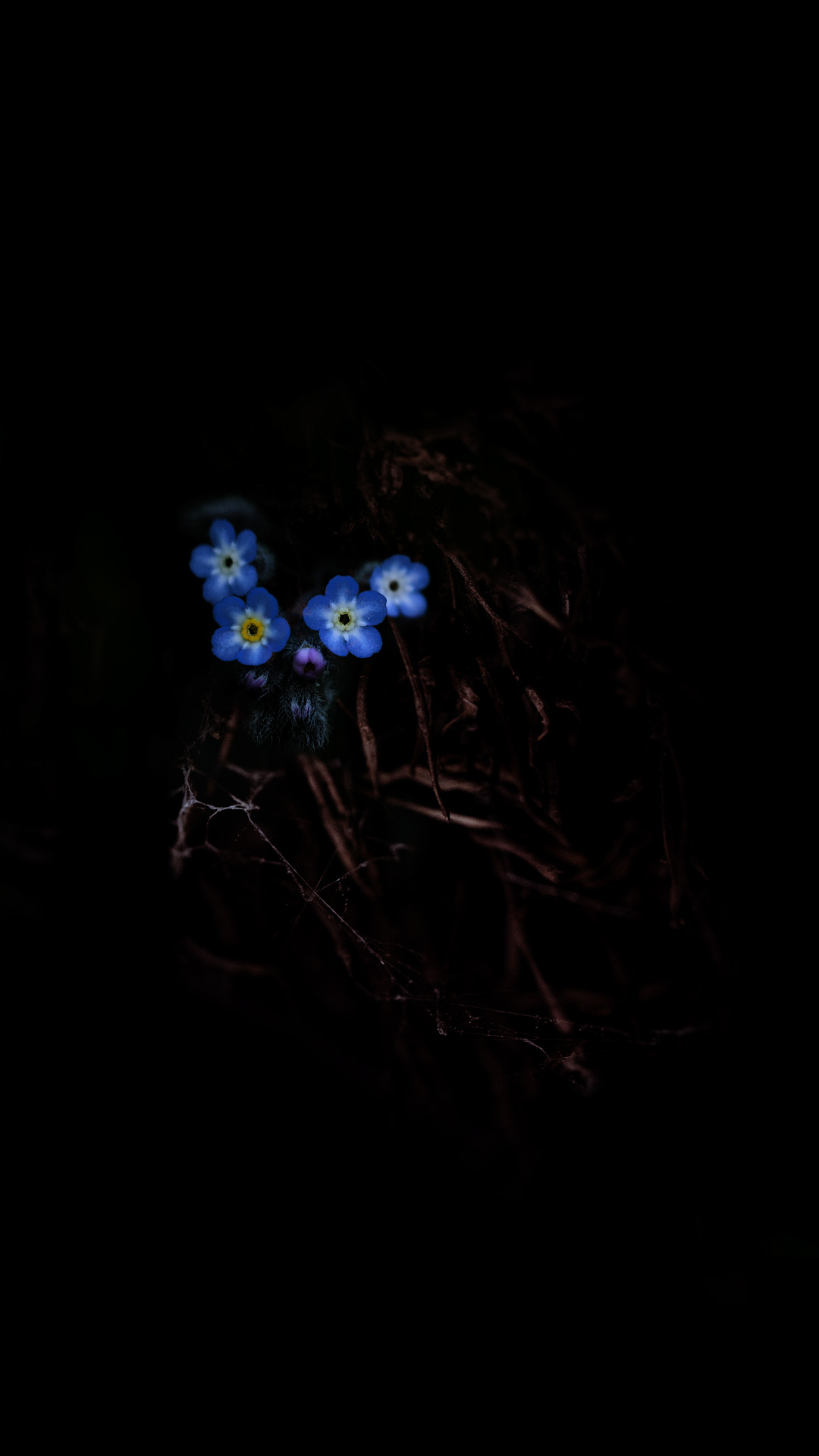 Intimacy series - Digital photography by Rita Margono