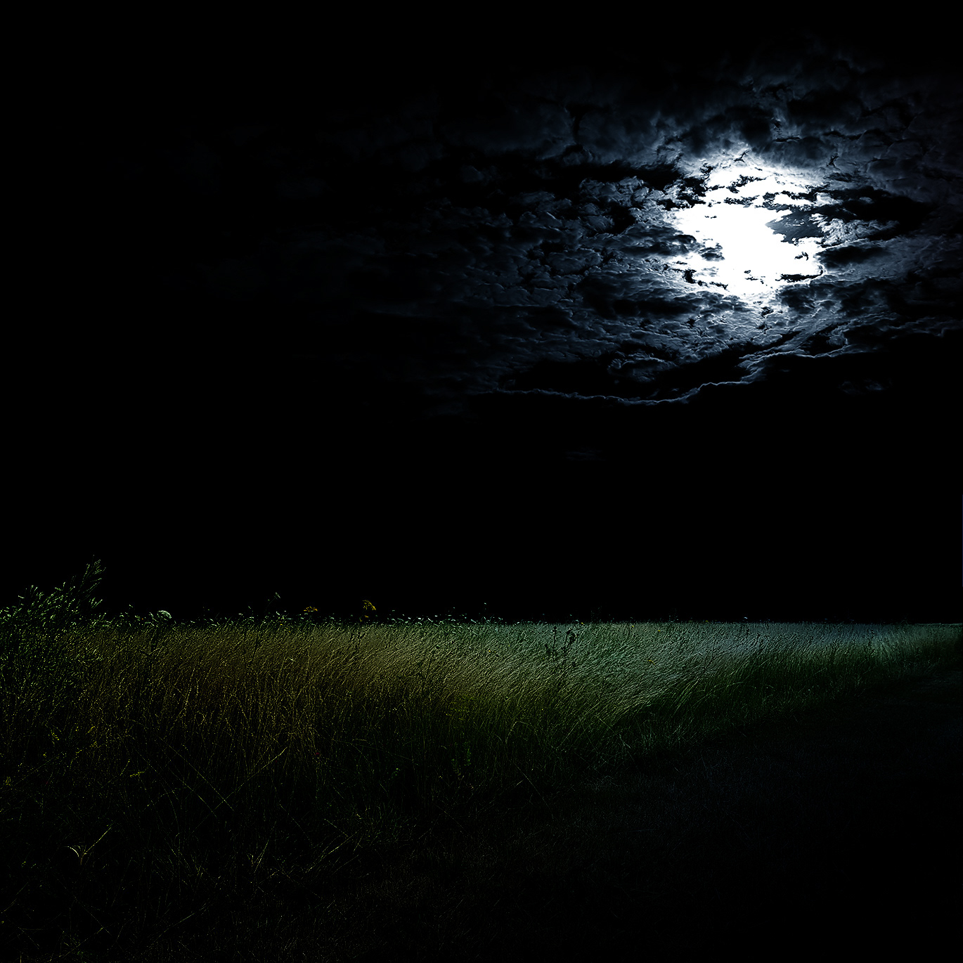 Green Field series - Digital photography by Rita Margono