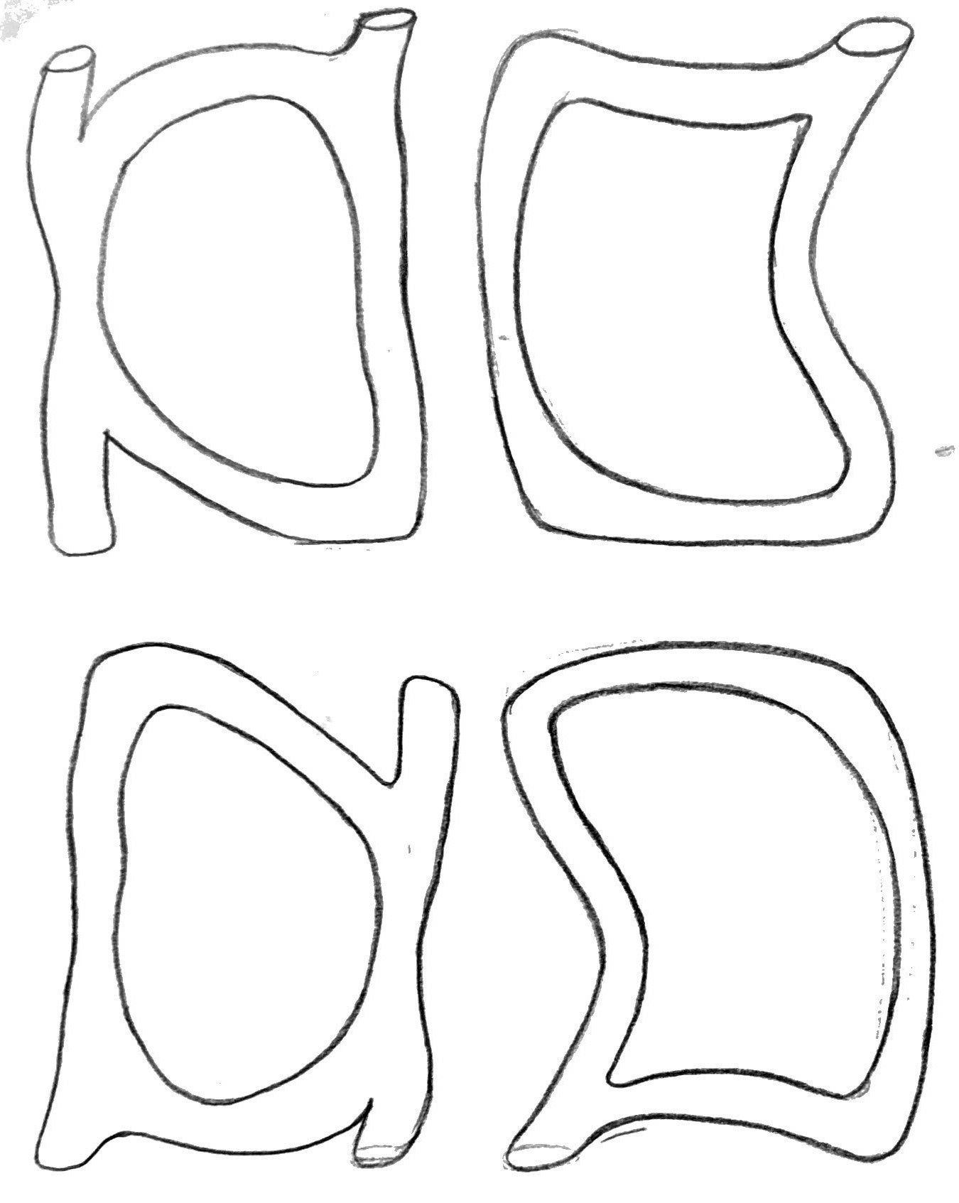 Morgan's Sketch