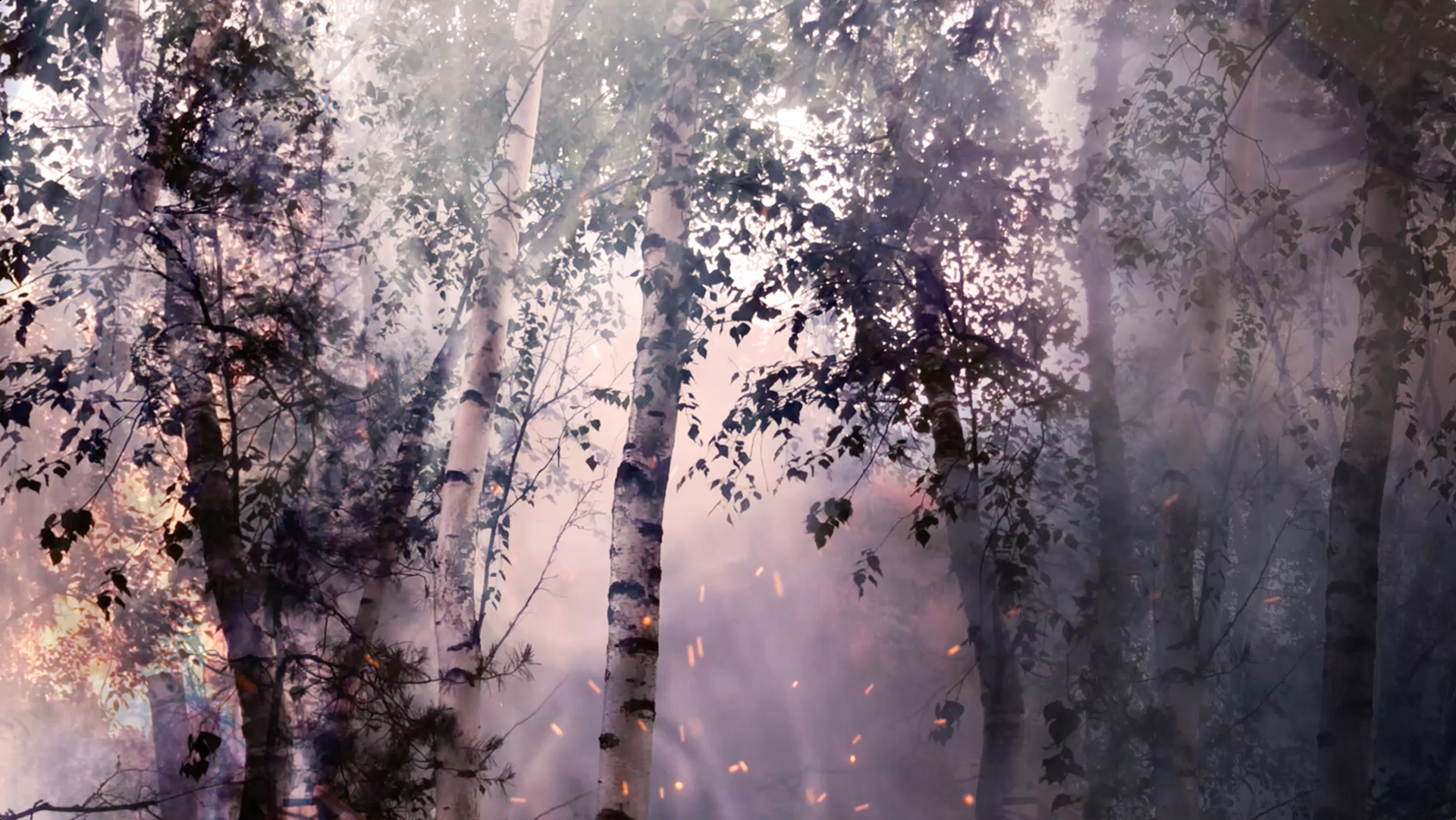 Still from video piece Hehku by Merle Karp