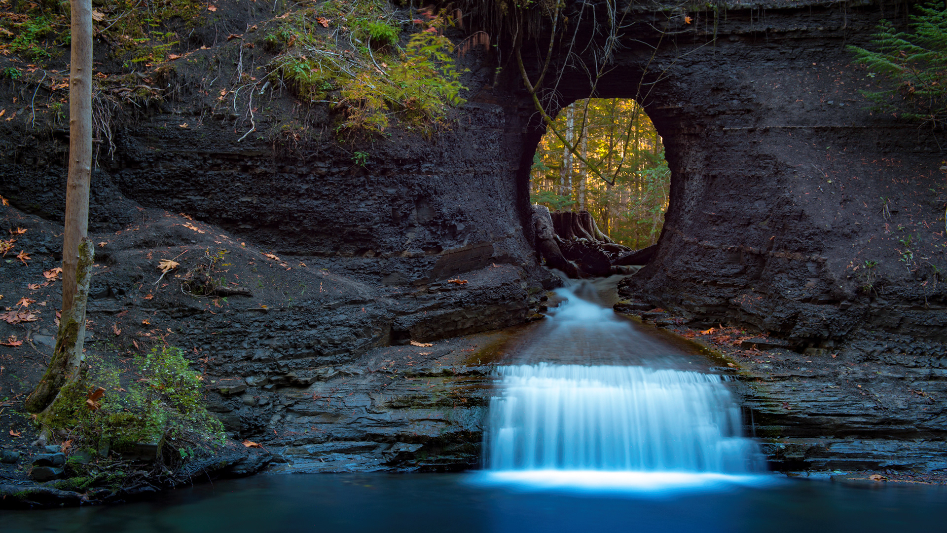 Vancouver Island, Canada