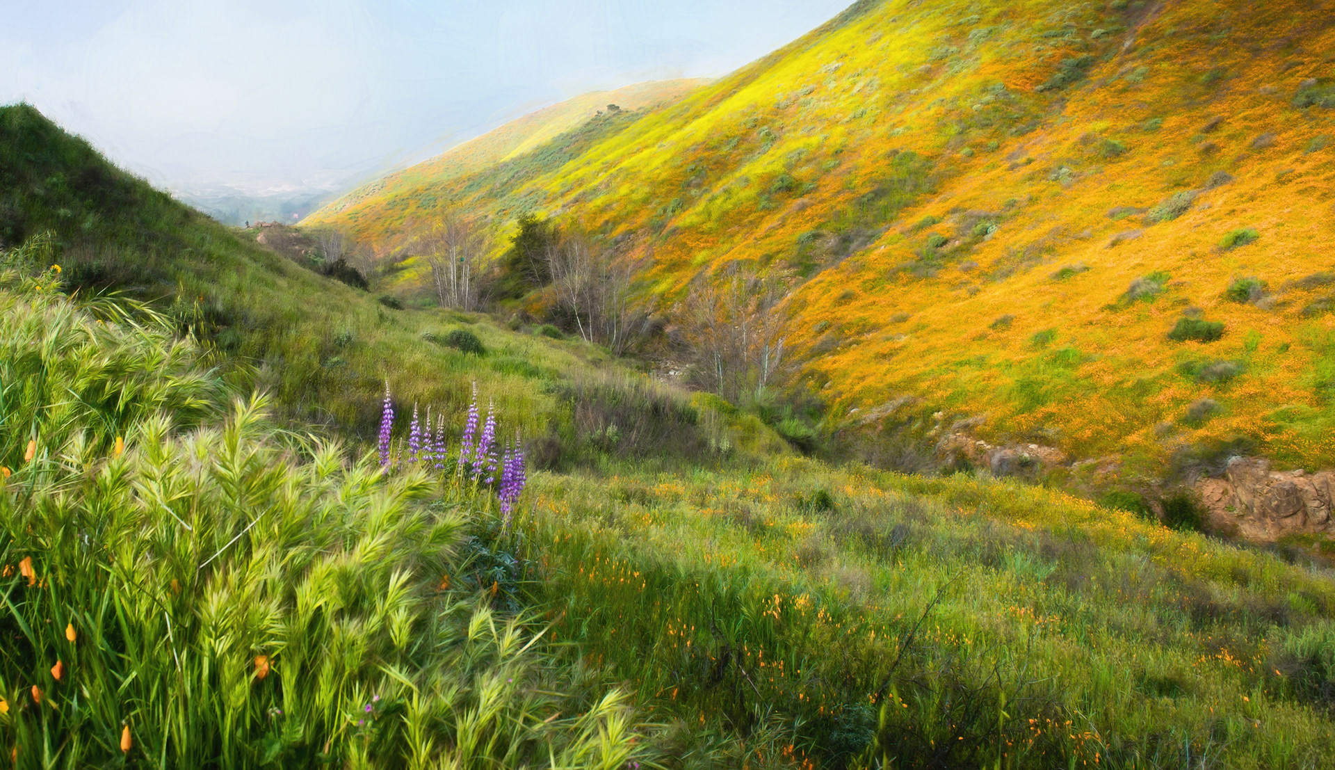 Carrizo Plain National Monument, CA