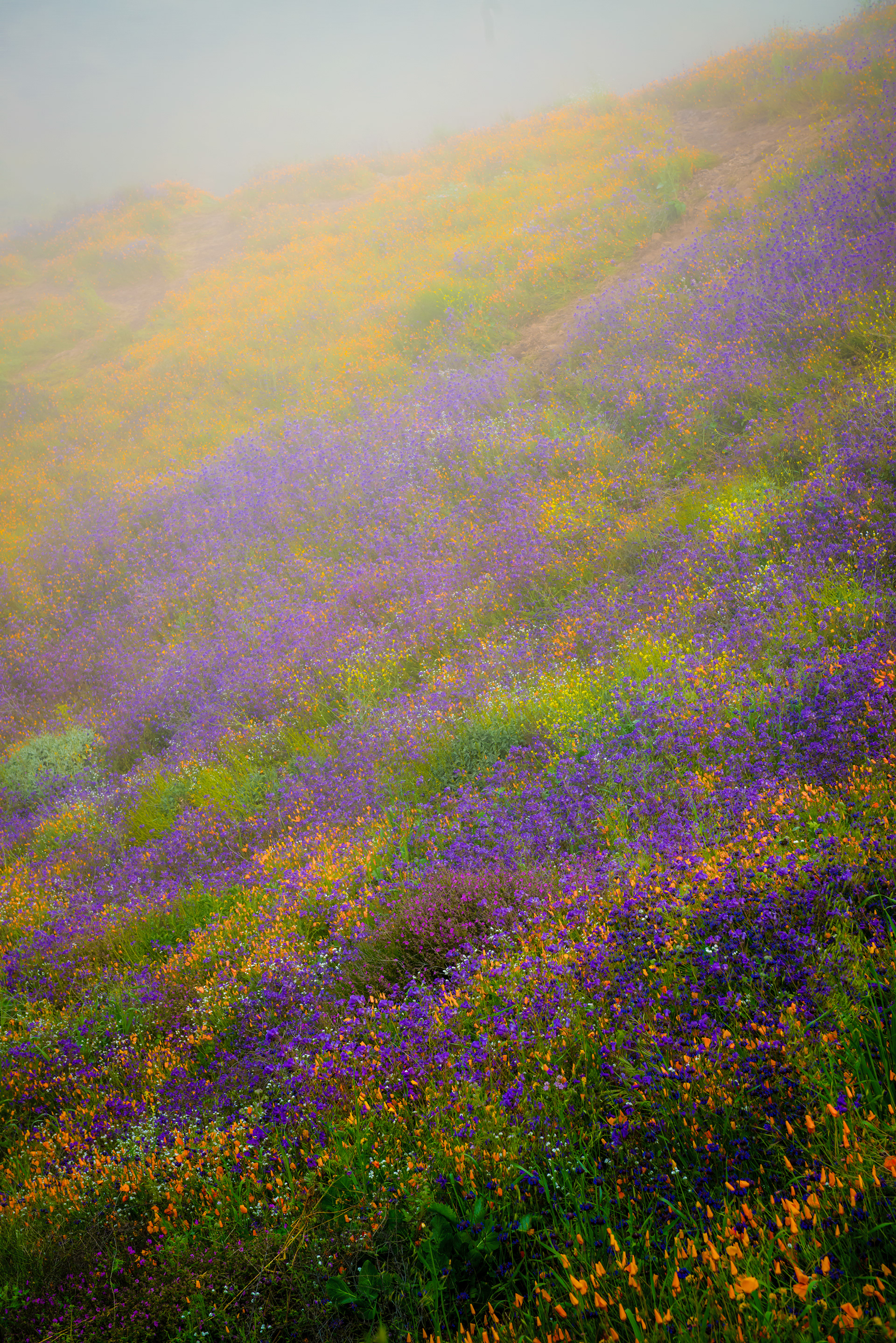 Walker Canyon, CA