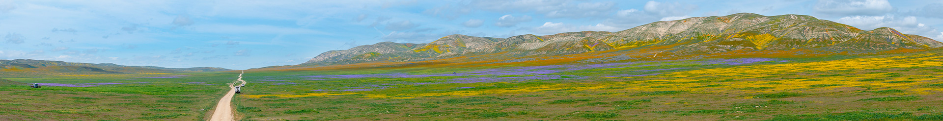 Carrizo Plain National Monument, CA