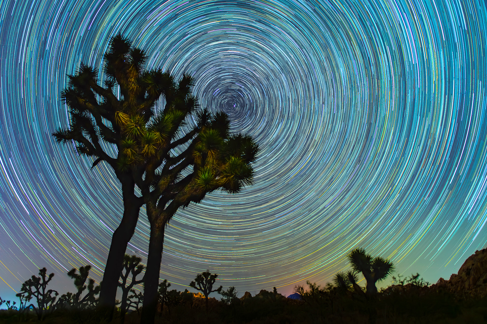 Joshua Tree, CA