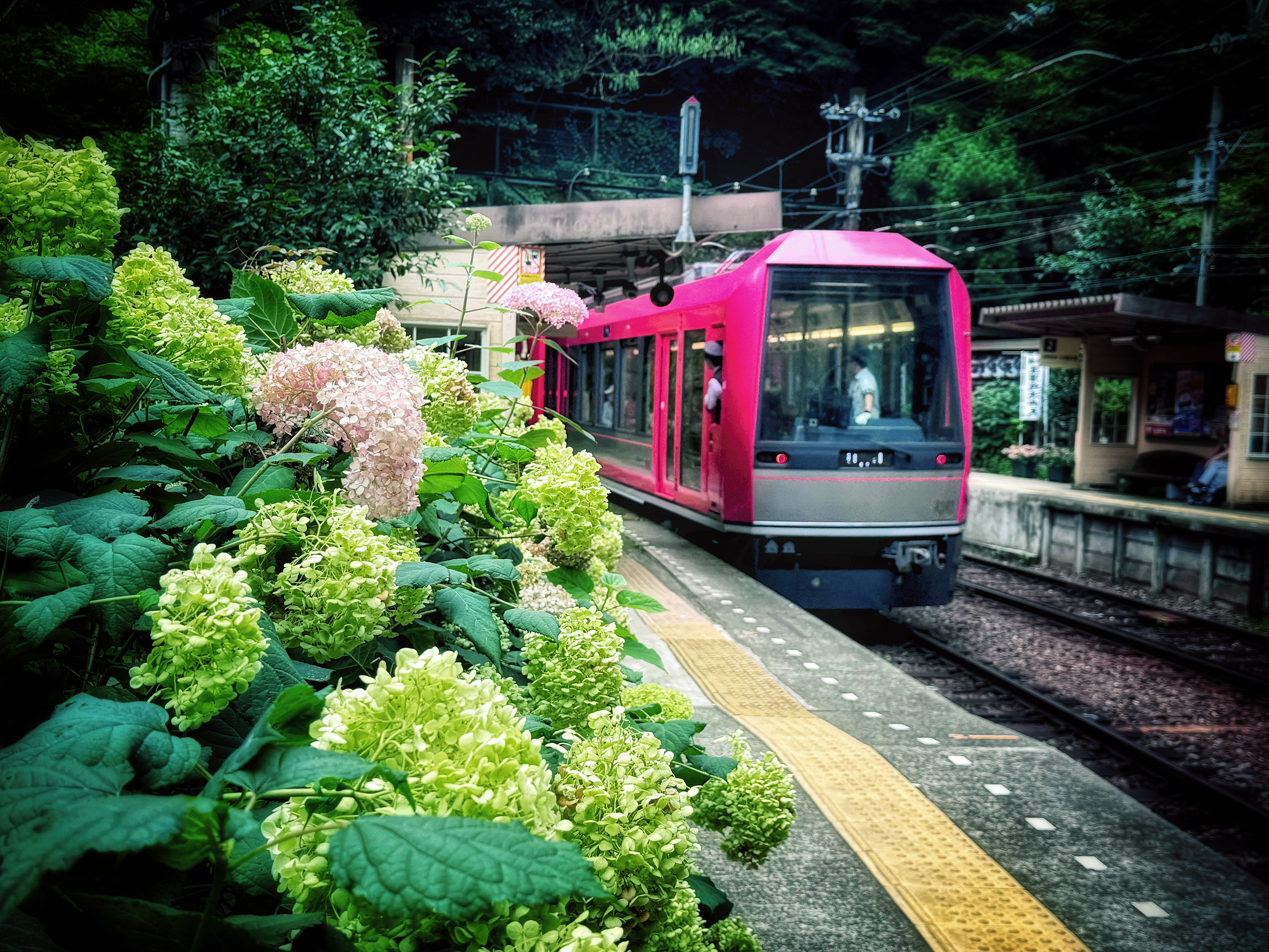 Hakone Rail Line - Hakone, Japan