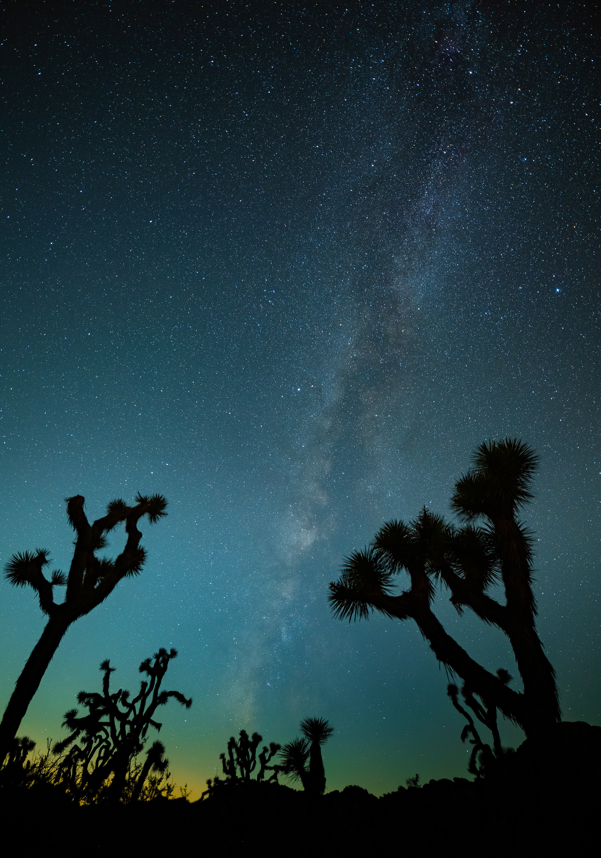 Joshua Tree, CA