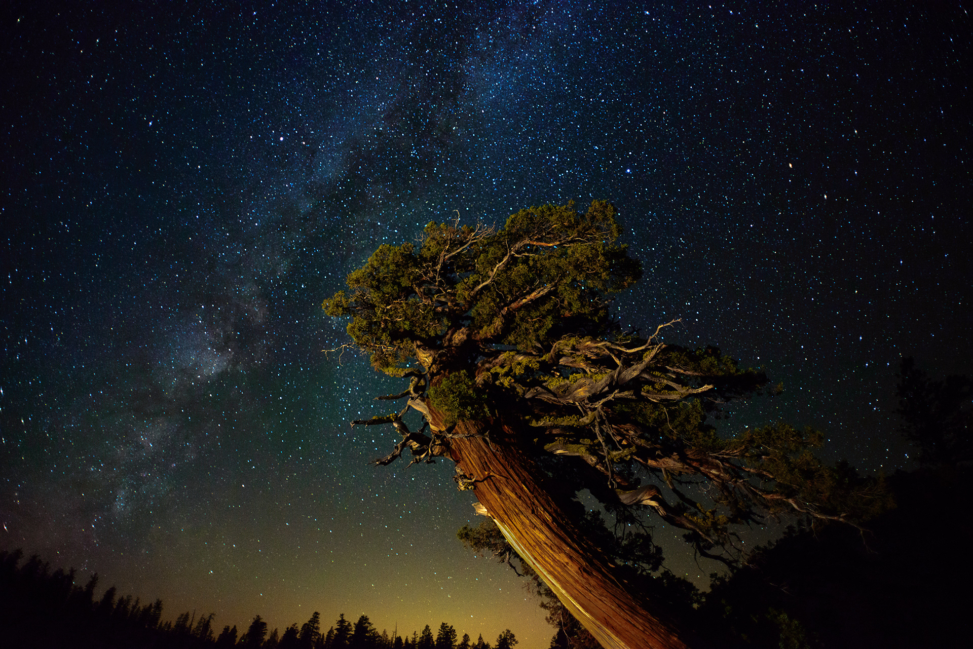 Yosemite, CA