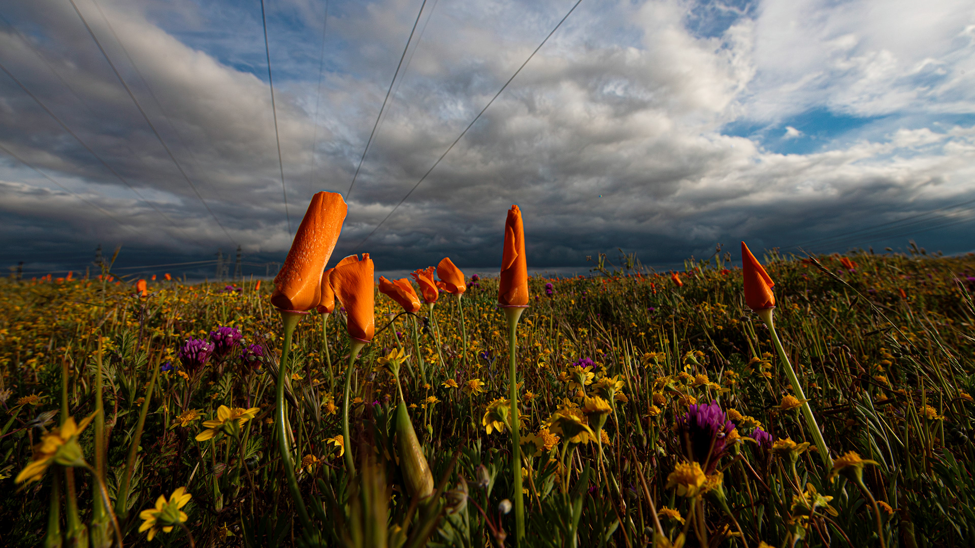 Antelope Valley, CA