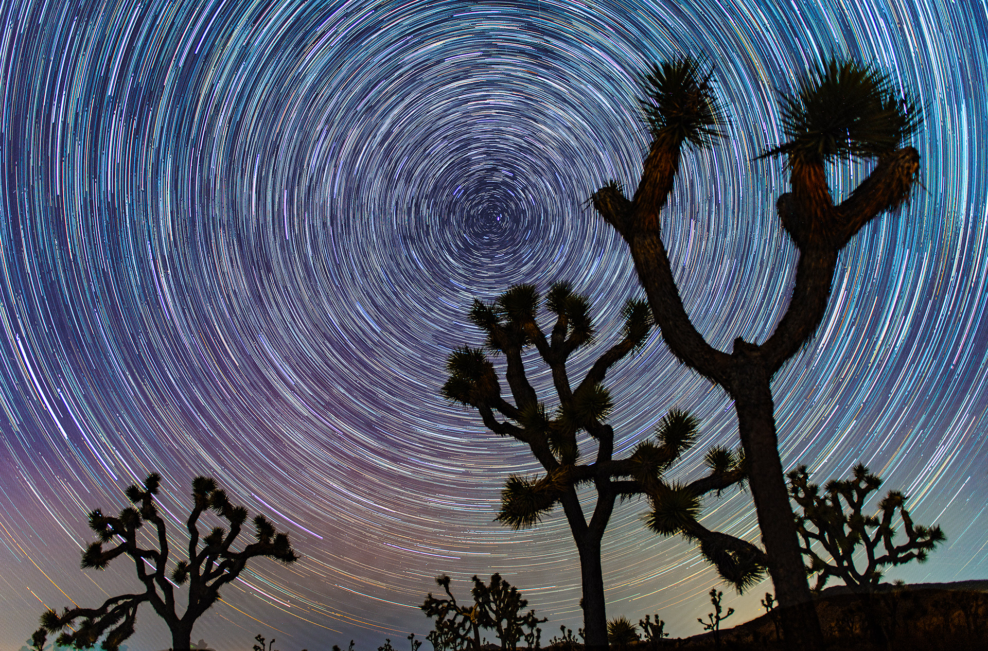 Joshua Tree, CA