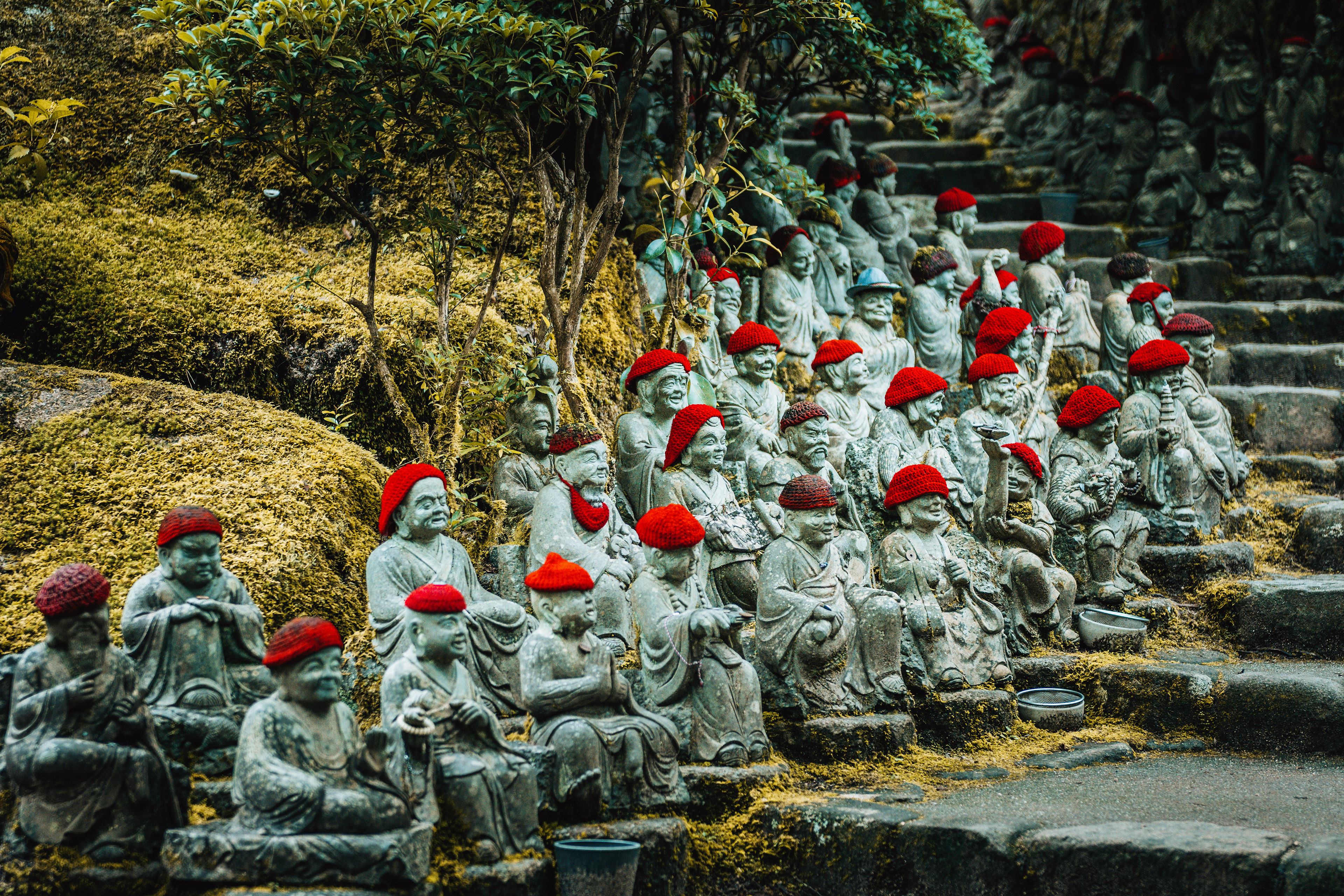 Dashion - Miyajima, Japan